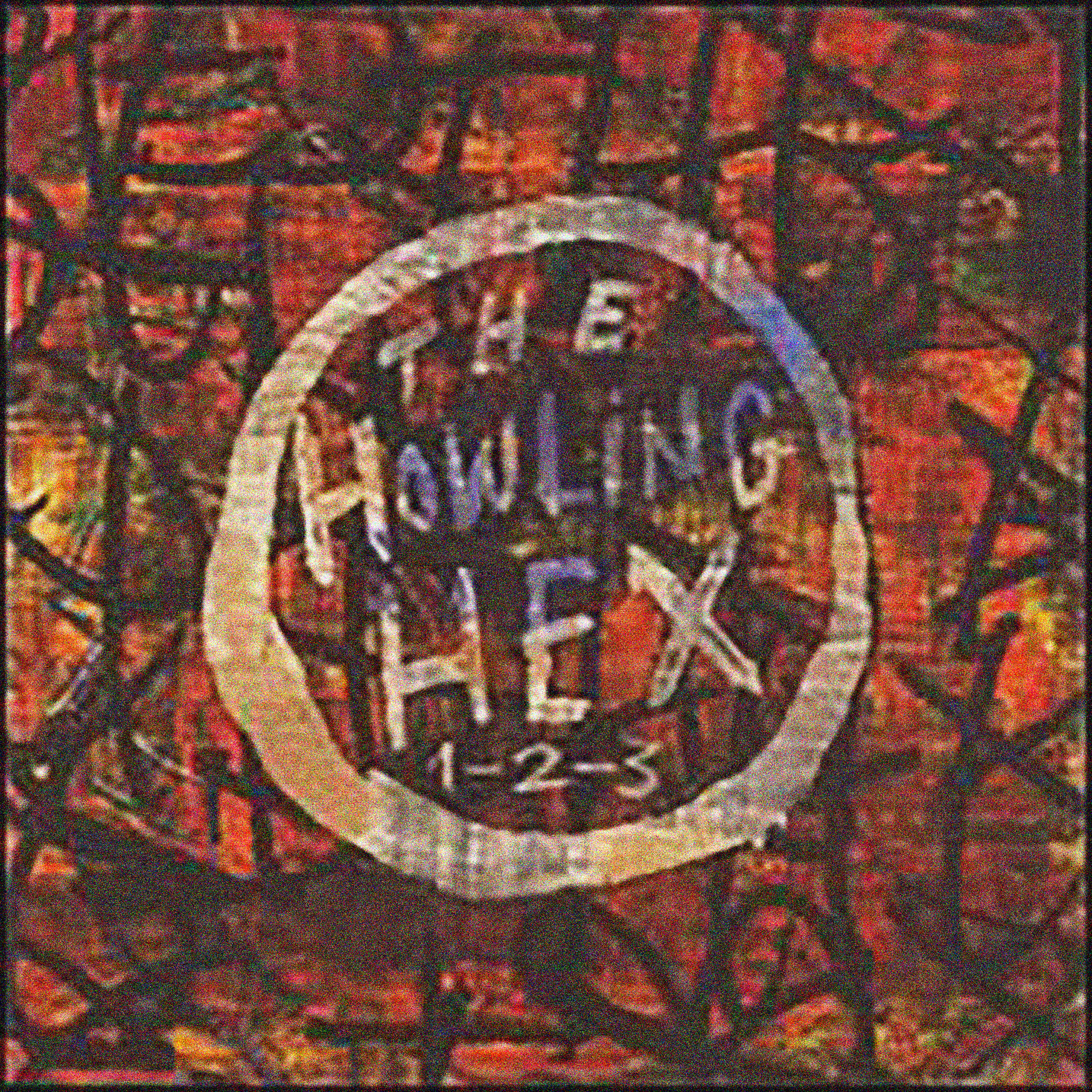 The Howling Hex - I'm Rocklyn Immigrant
