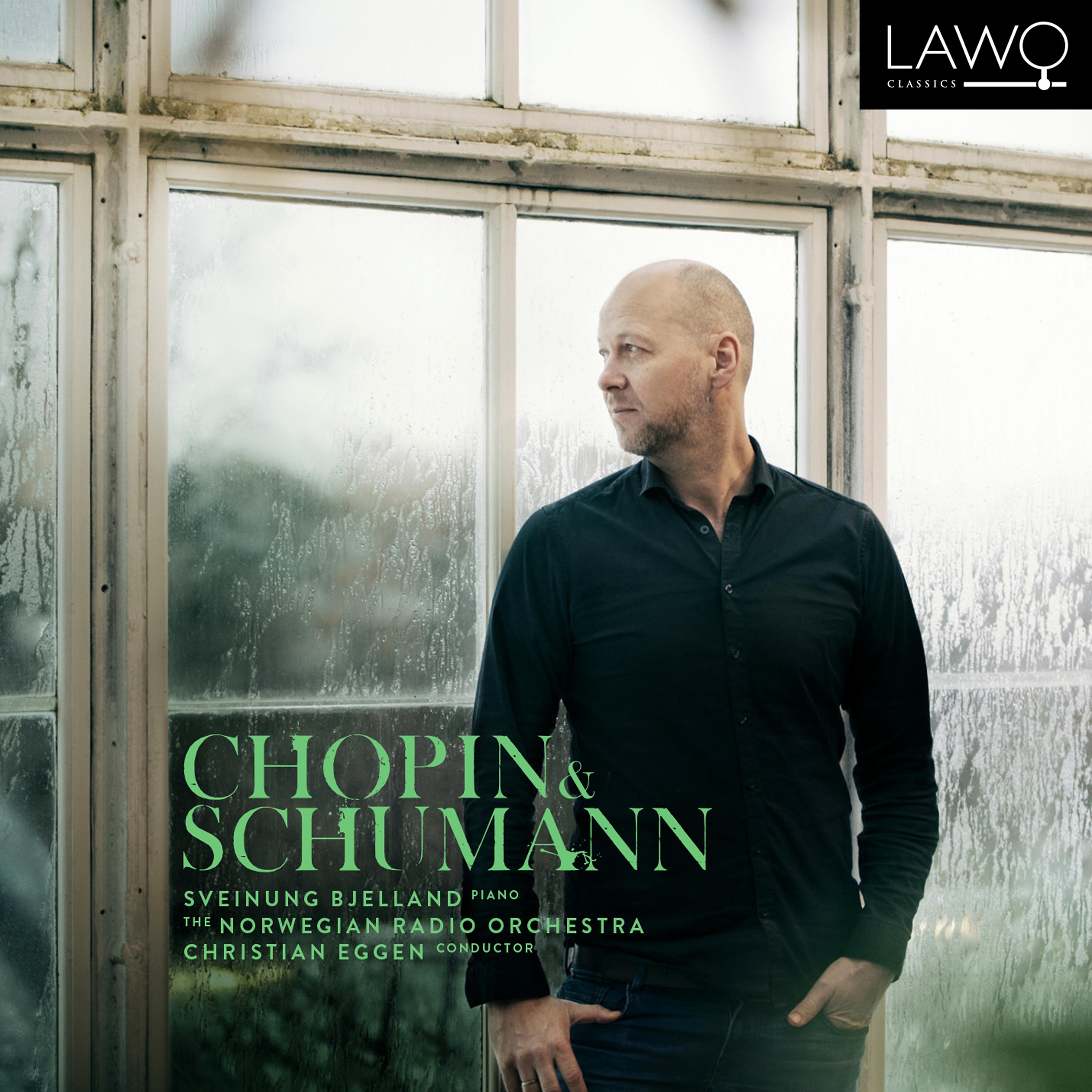 Постер альбома Chopin / Schumann