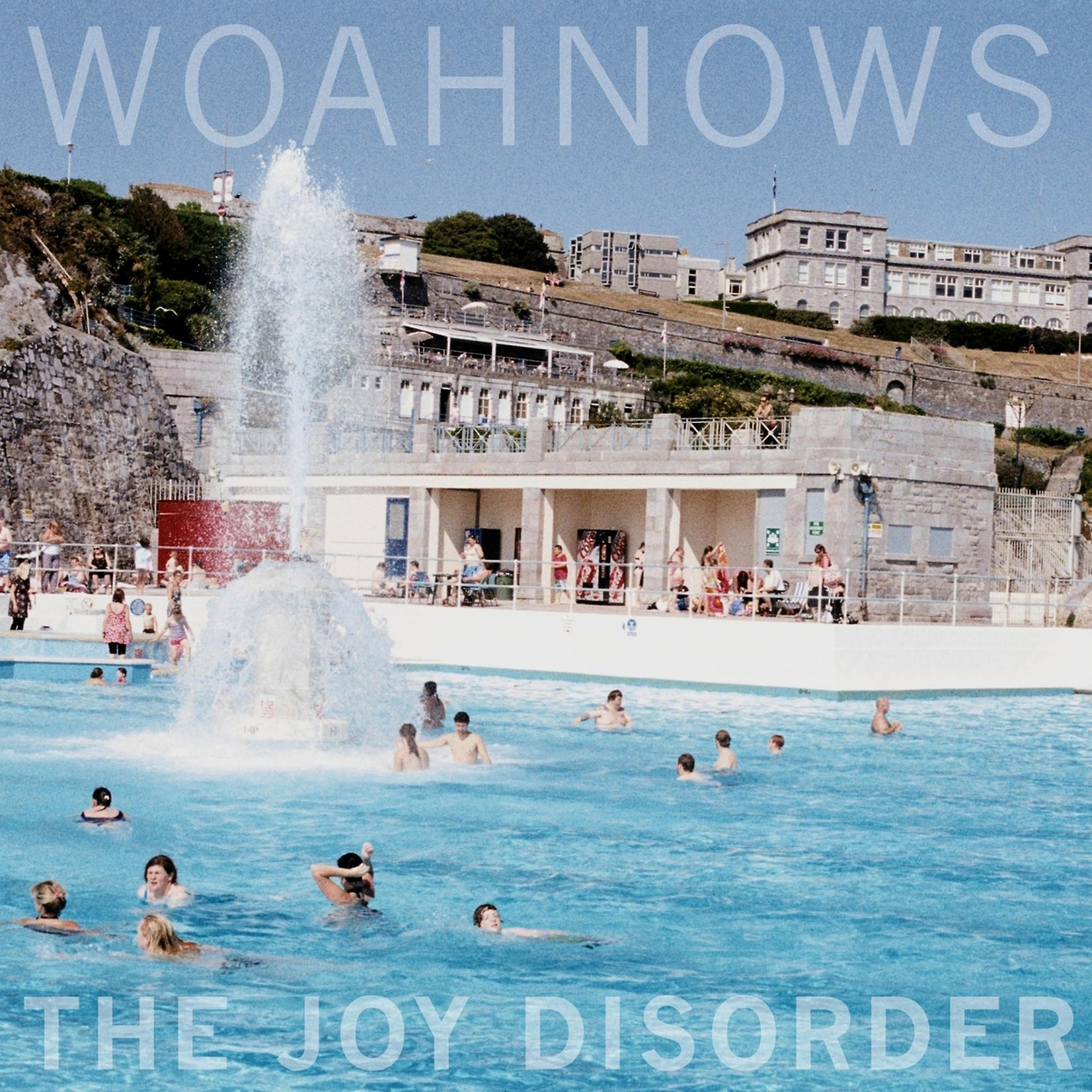 Постер альбома The Joy Disorder