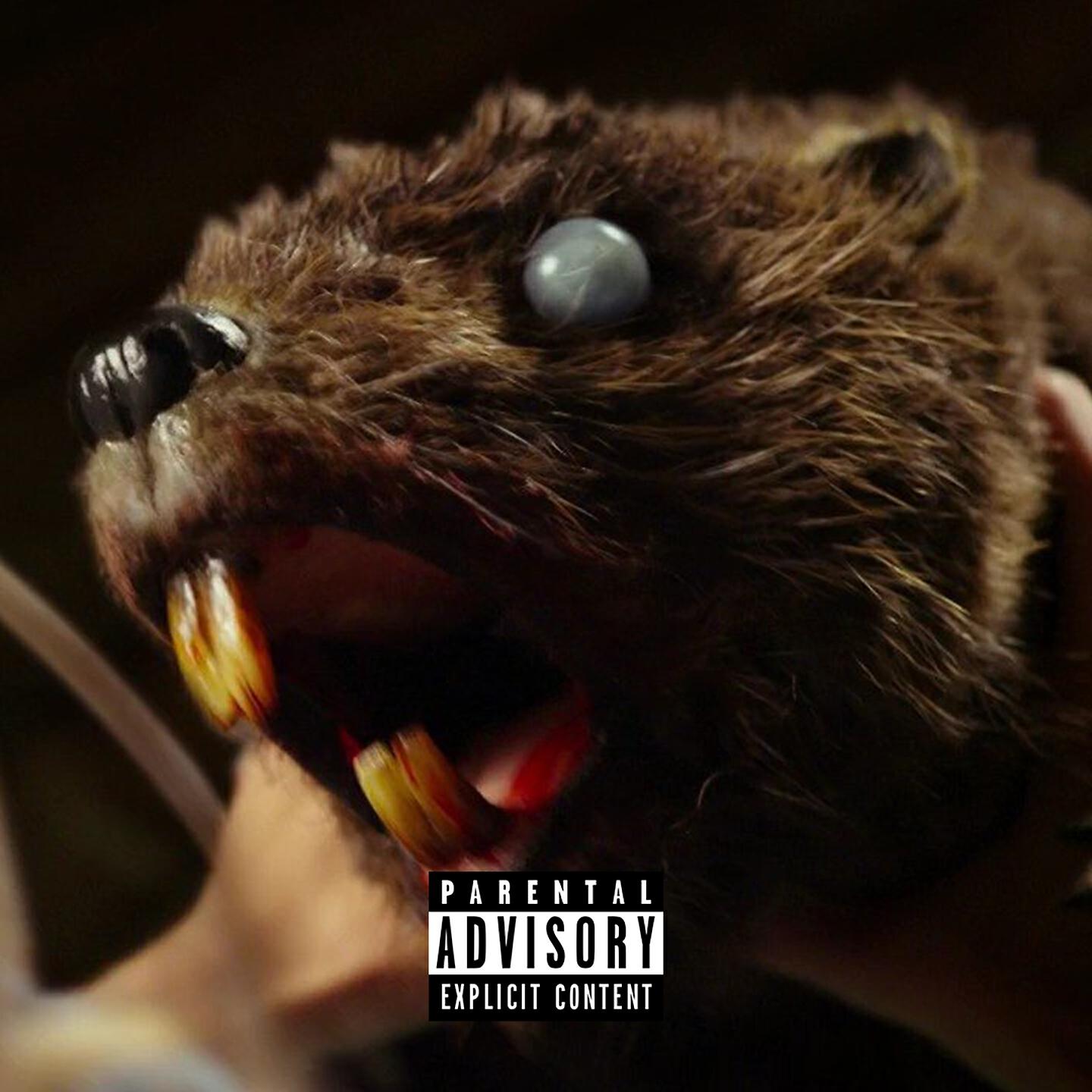 Шутки про бобров смешные. Говорящий бобер. Прикол про бобра. Выдра ондатра нутрия. Бобер говорящий том.