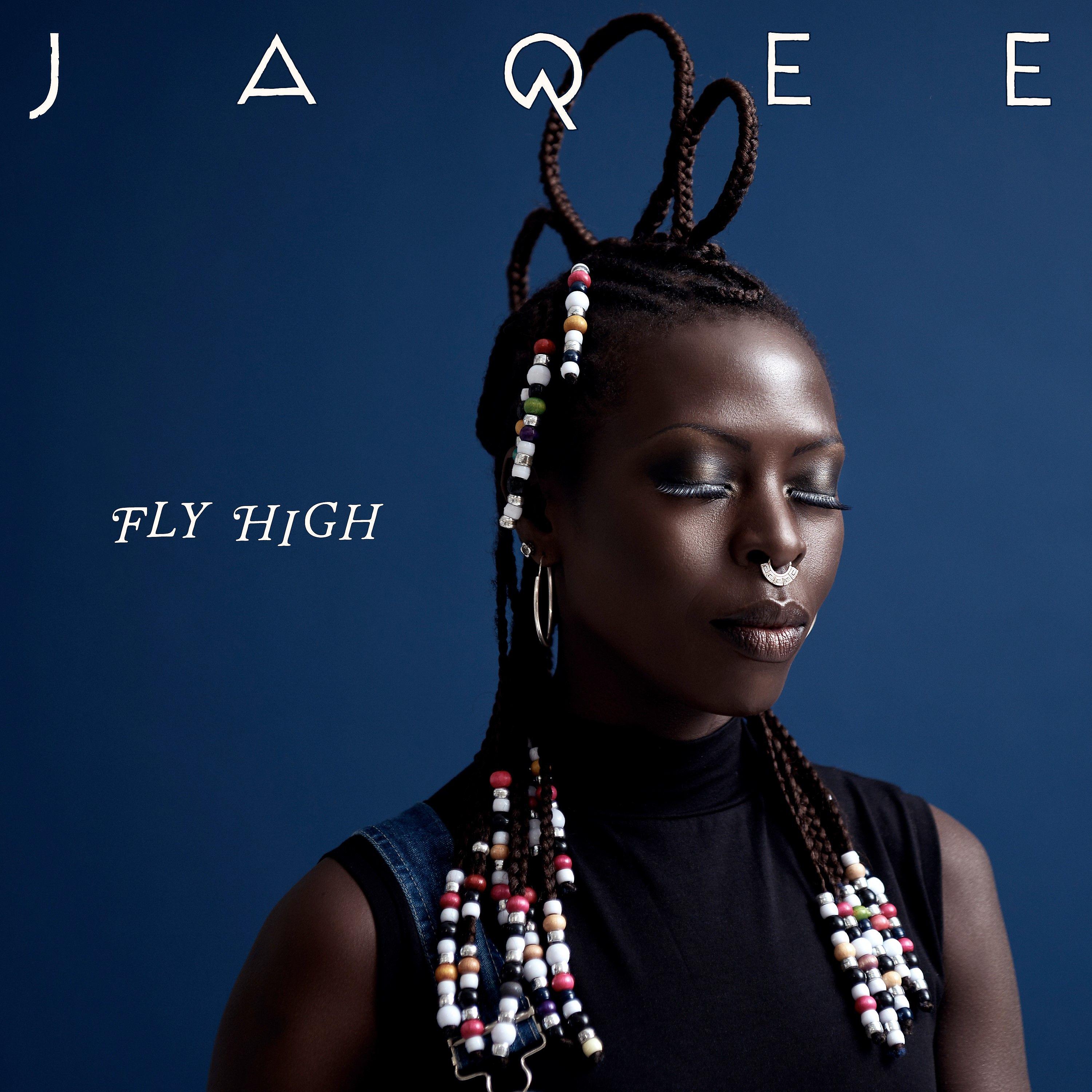 Постер альбома Fly High