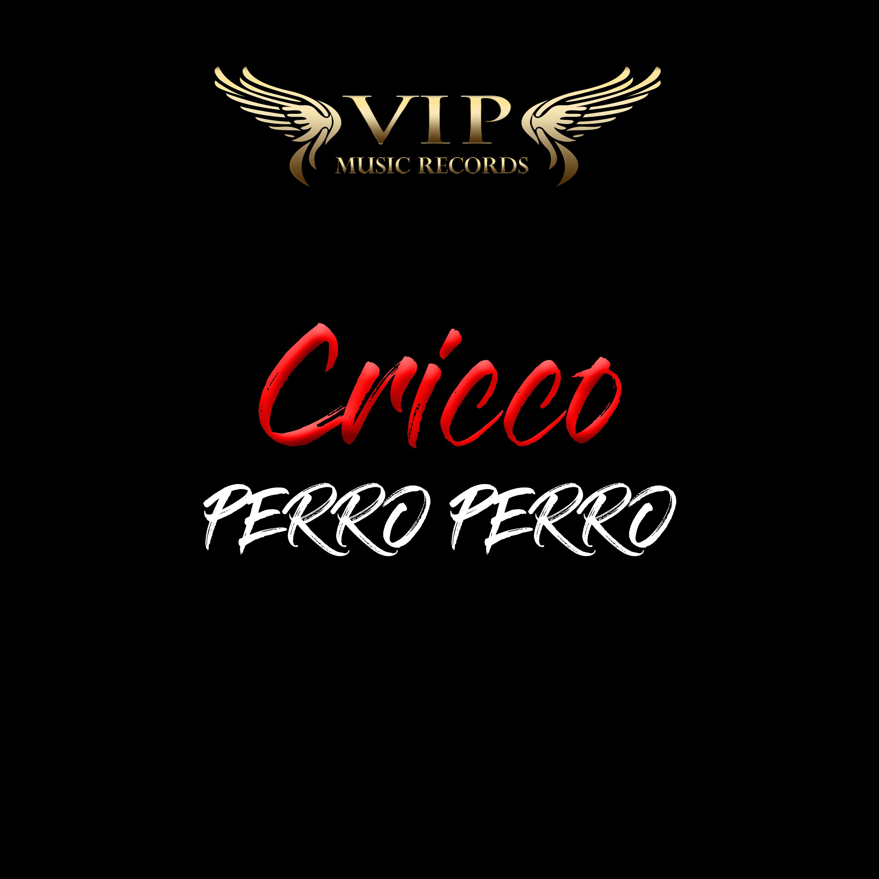 Постер альбома Cricco