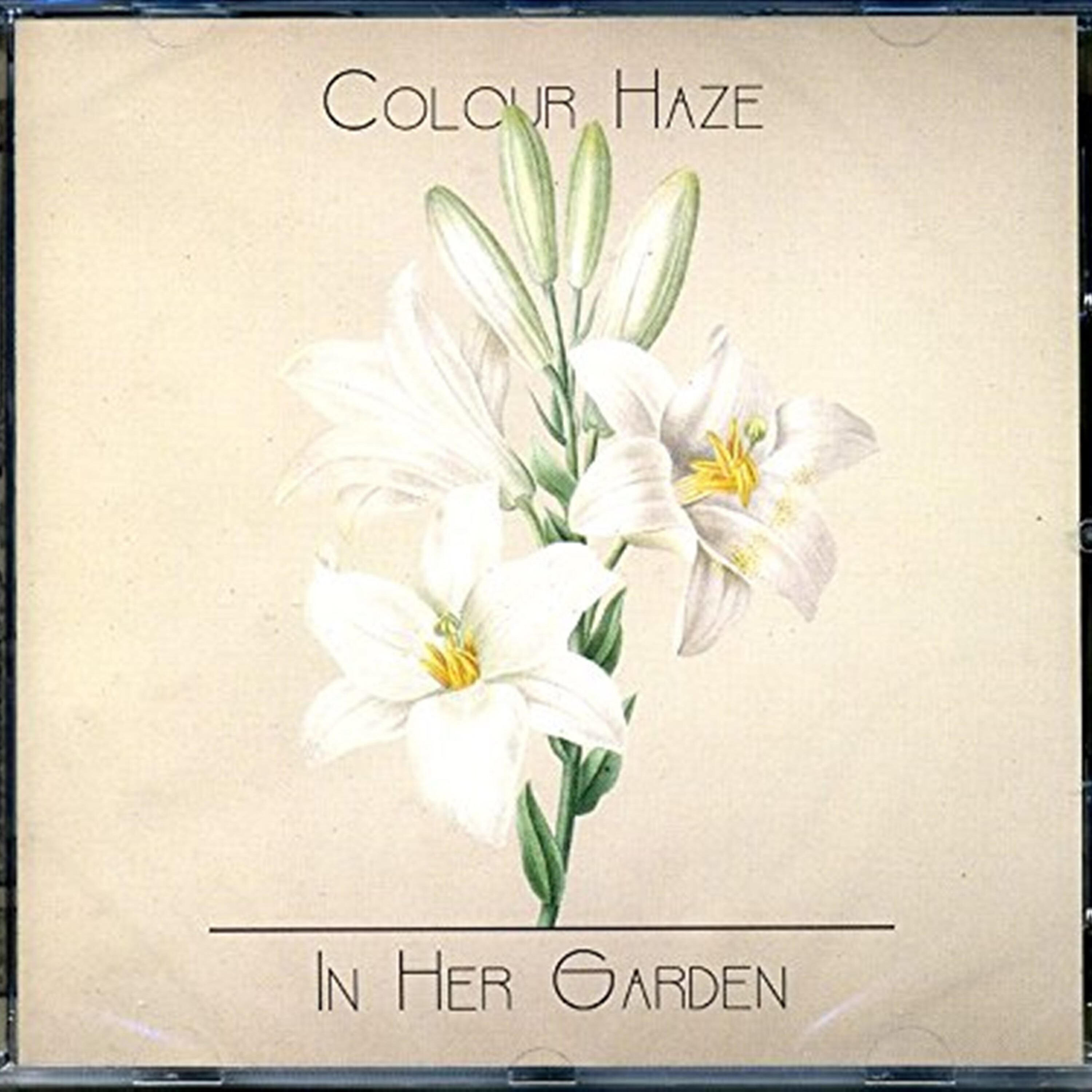 Colour Haze - Magnolia