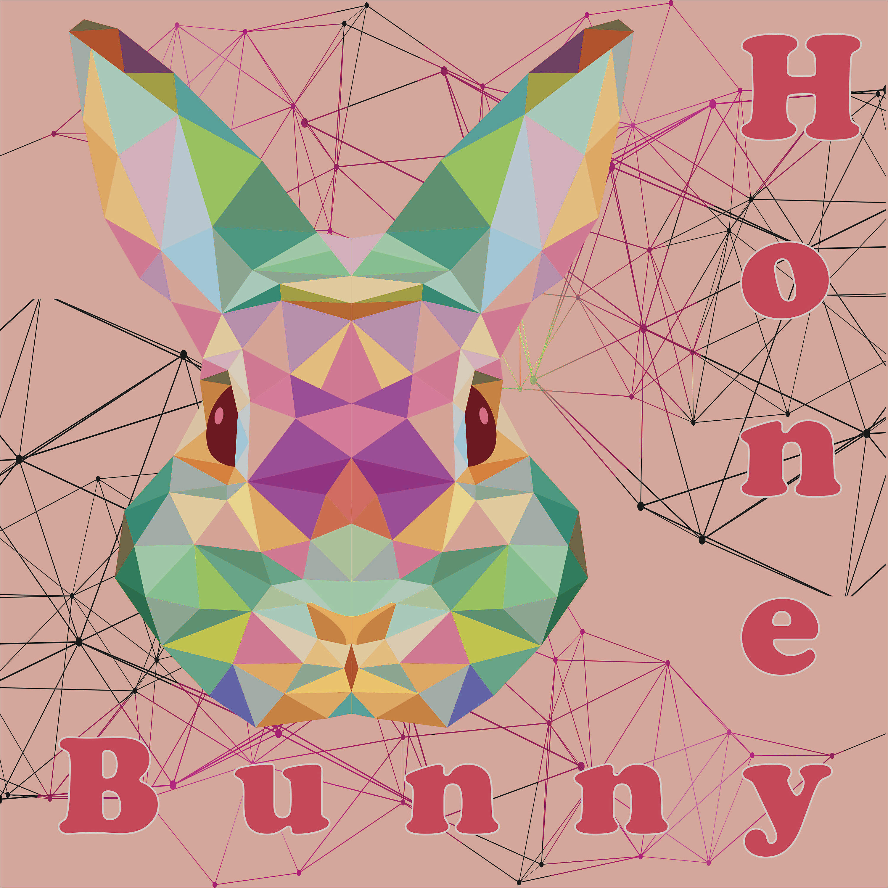 Techno Mama - Point (Honey Bunny Remix)