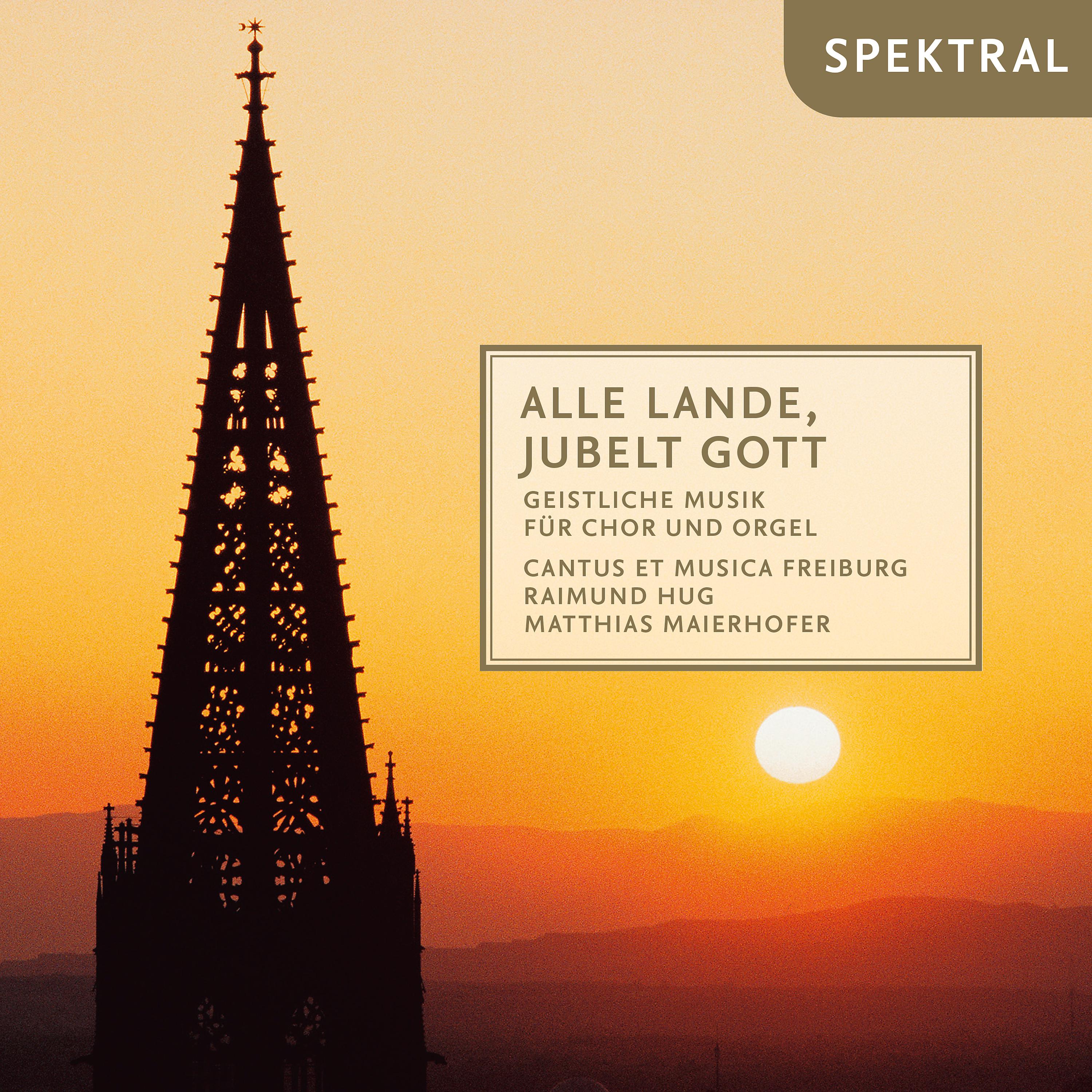 Постер альбома Alle Lande, jubelt Gott - geistliche Musik für Chor und Orgel