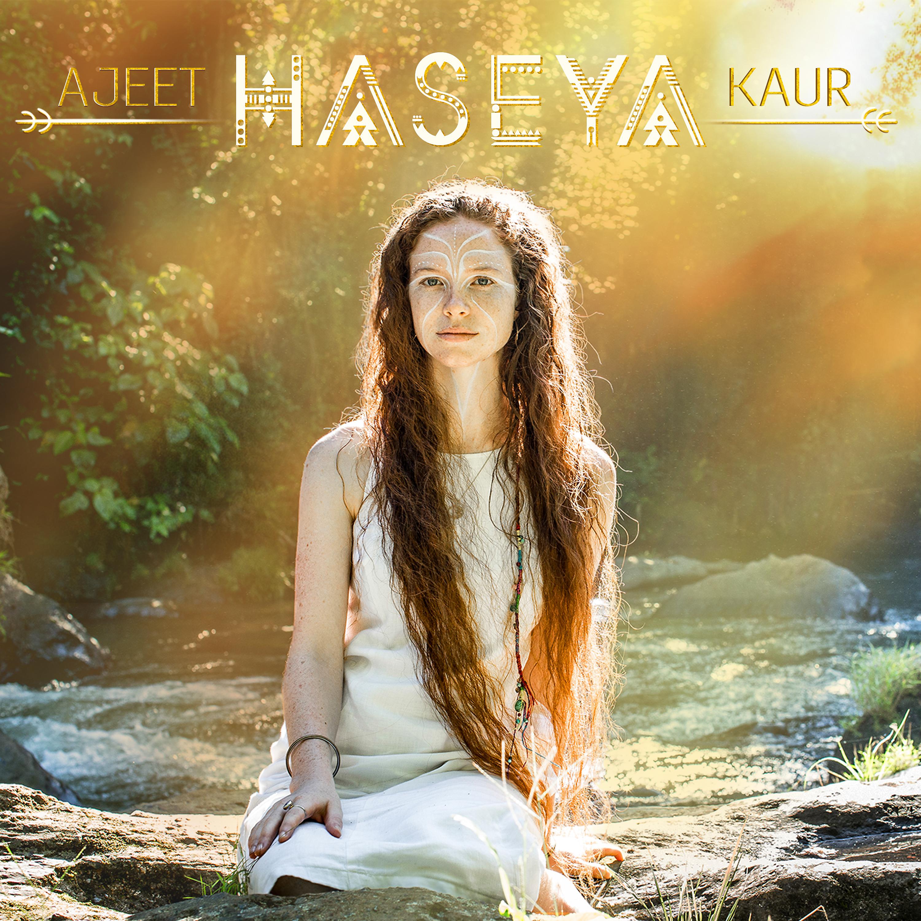 Постер альбома Haseya