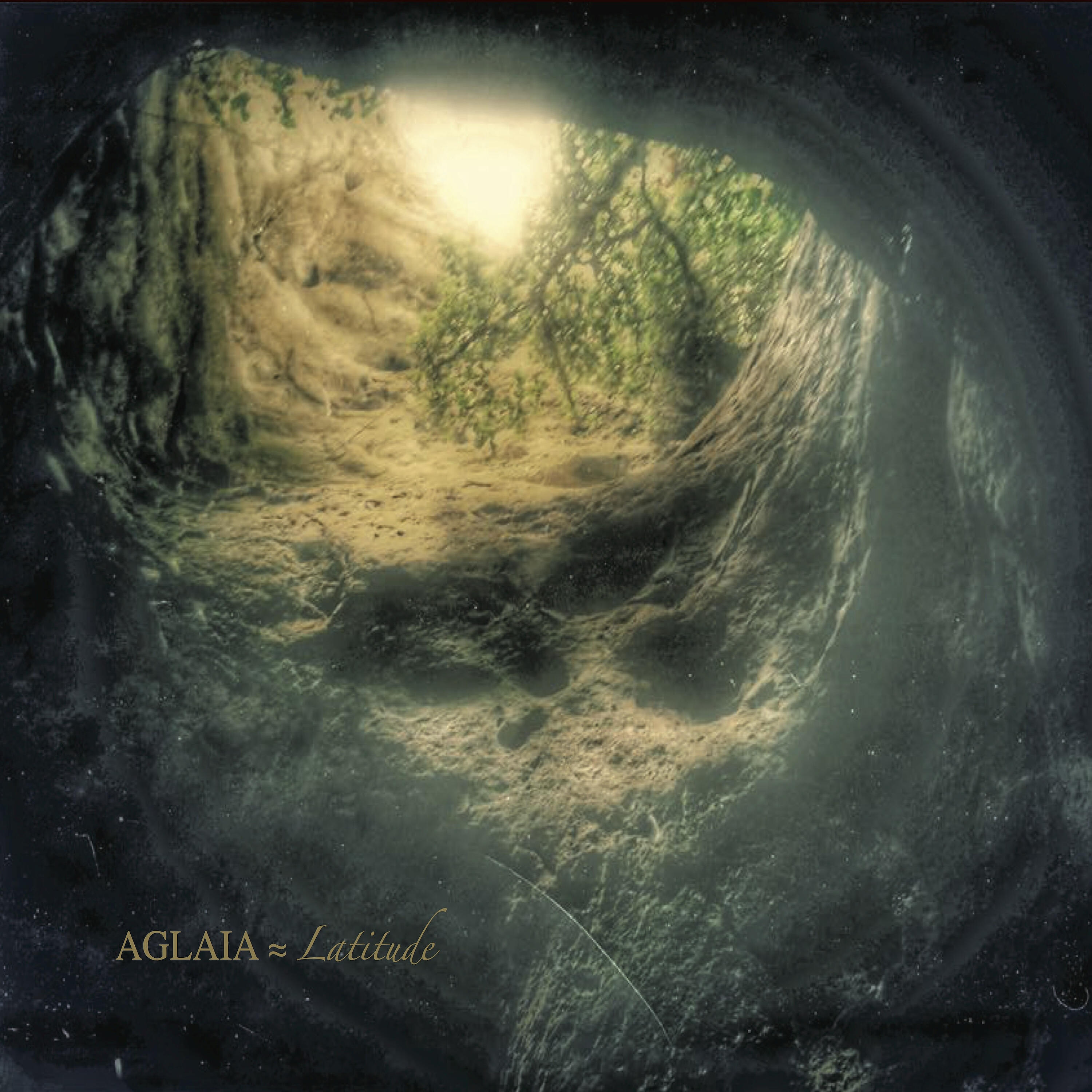 Aglaia - Boreal Emisphere