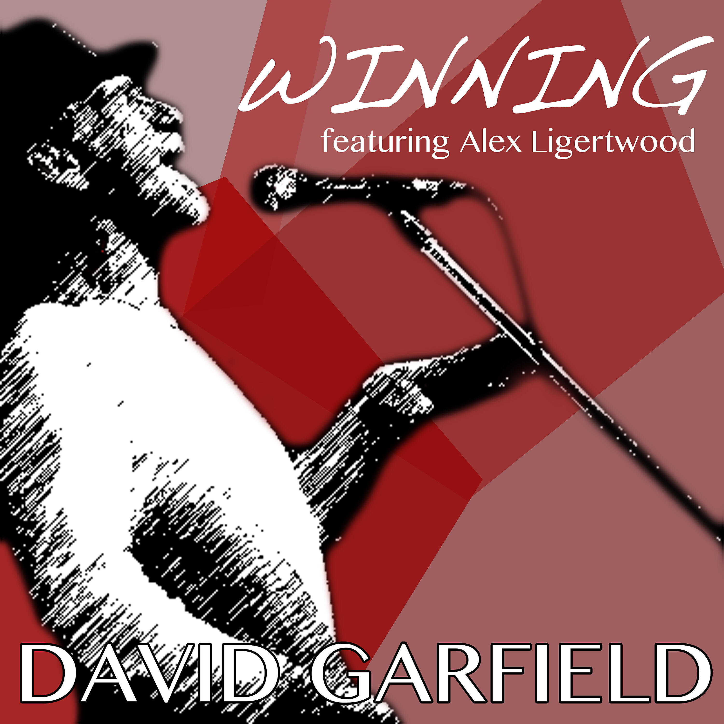 David Garfield - Winning (Full Length)