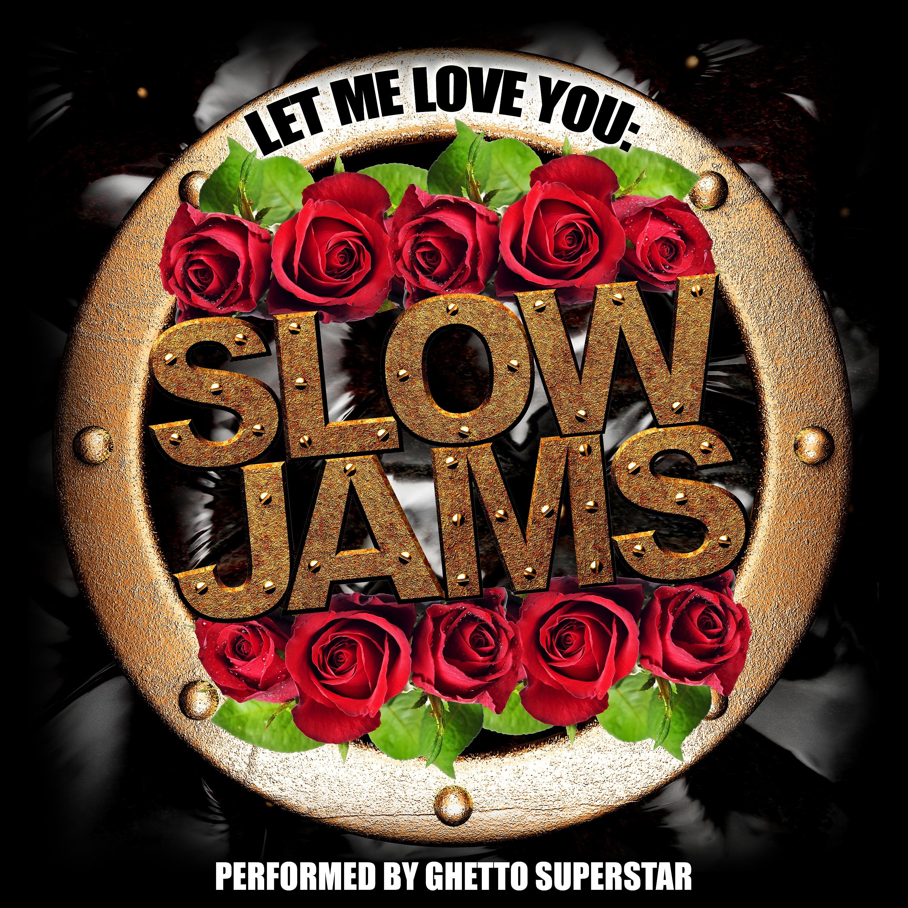 Постер альбома Let Me Love You: Slow Jams