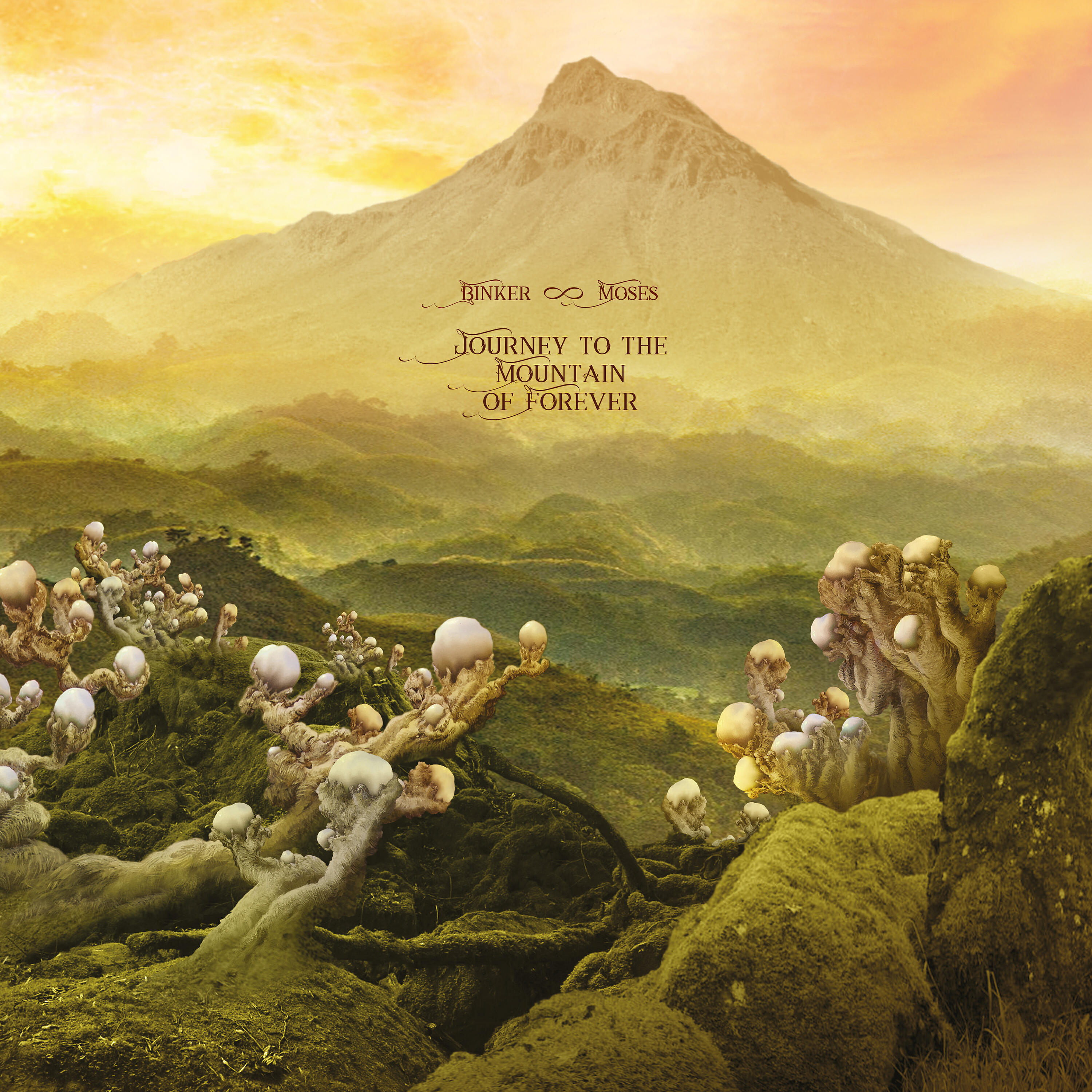 Binker - Echoes from the Other Side of the Mountain