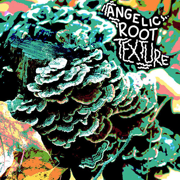 Angelic Root - R E C O G N I Z E  T E X T U R E