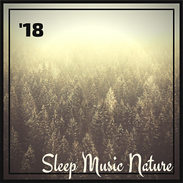 Sleep Sounds Of Nature - Soft Equilibrium
