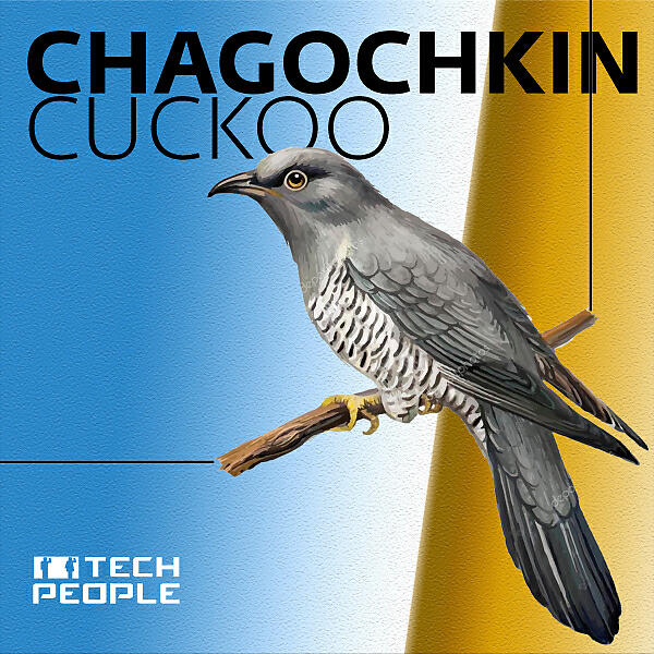 Chagochkin - Cuckoo