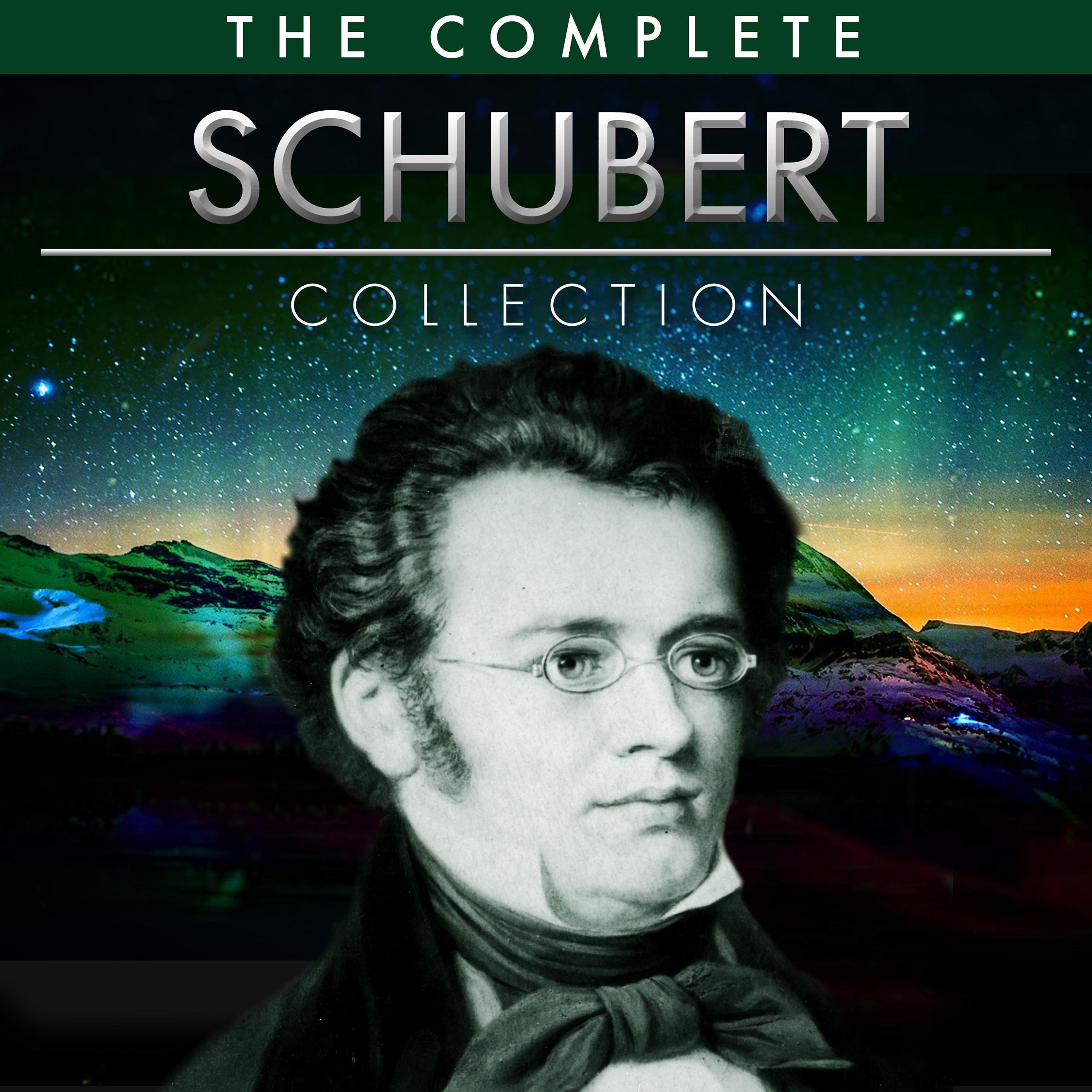 Постер альбома The Ultimate Schubert Collection