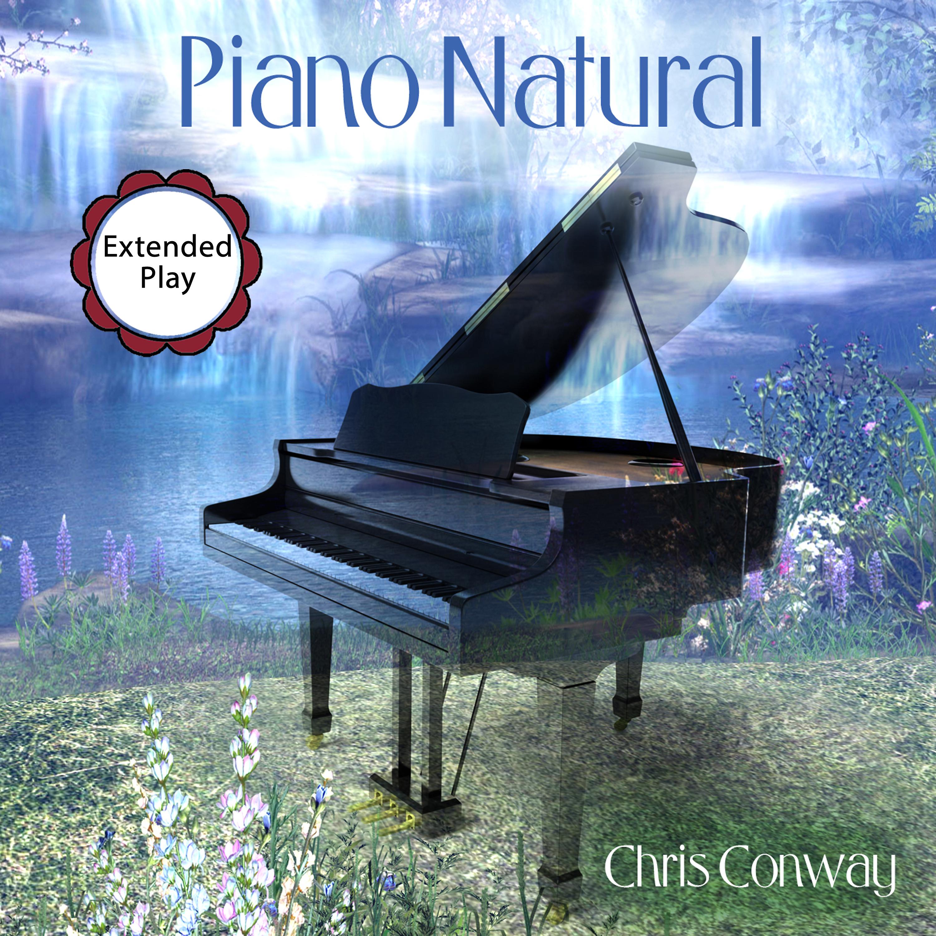 Постер альбома Piano Natural