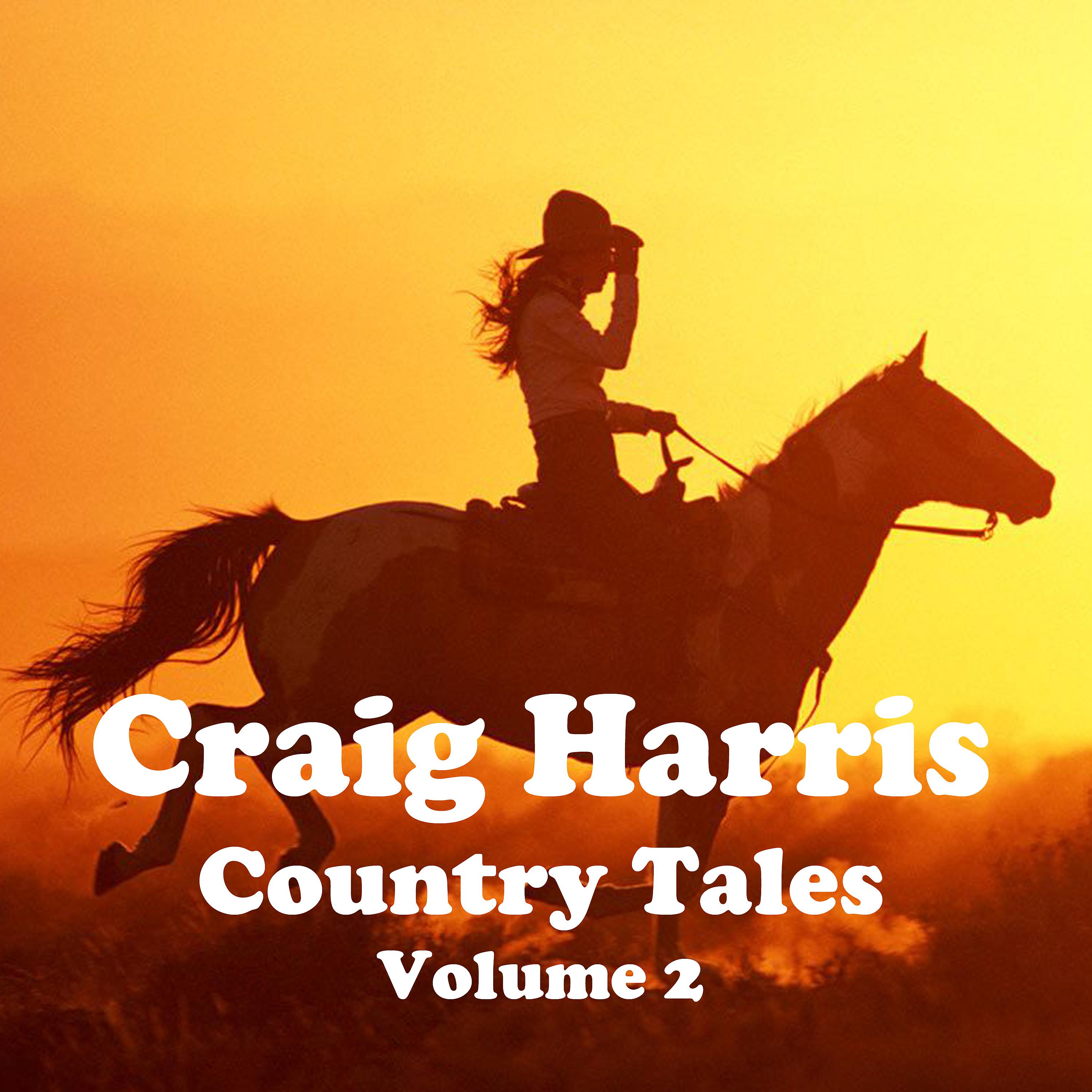 Постер альбома Country Tales Vol. 2