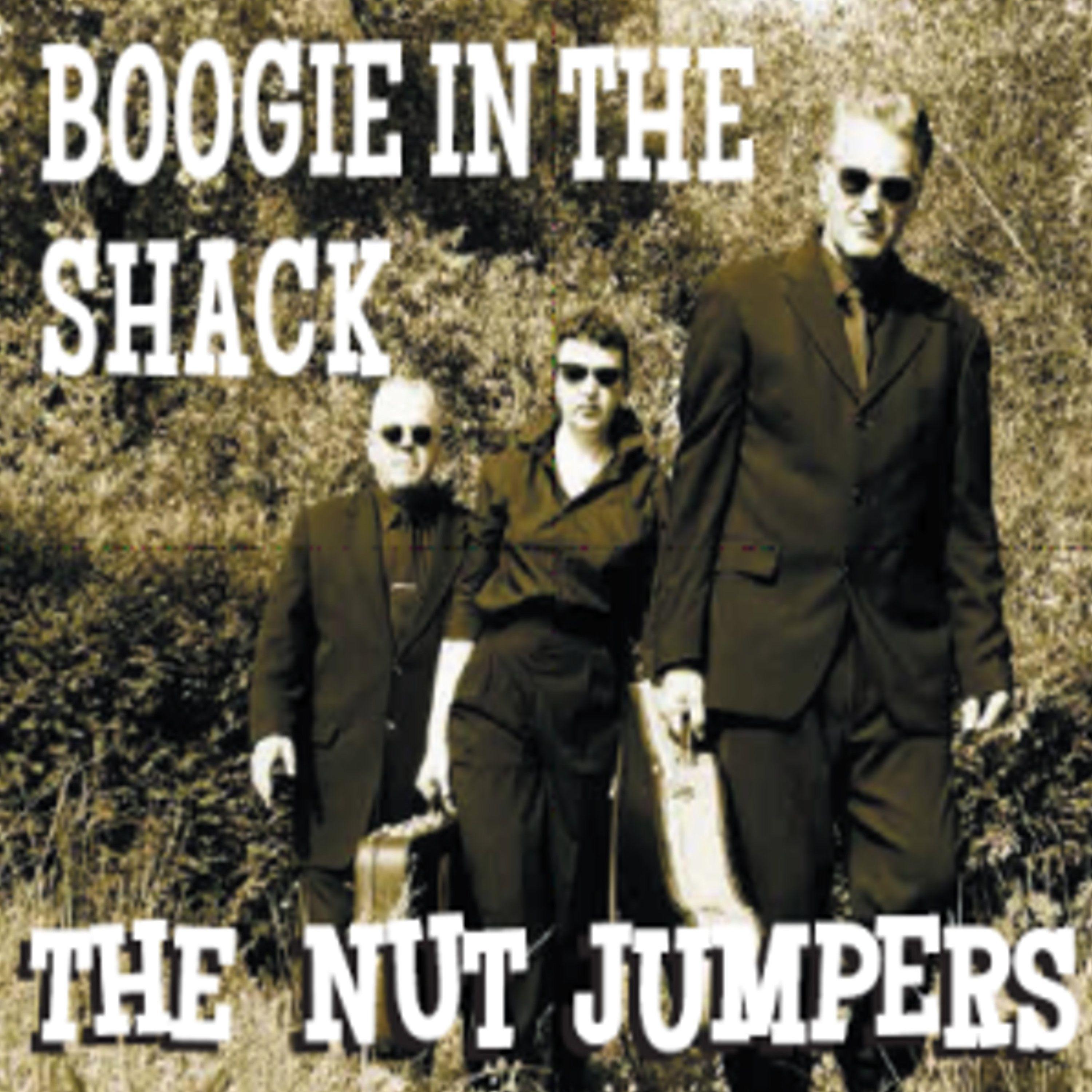 Постер альбома Boogie in the Shack