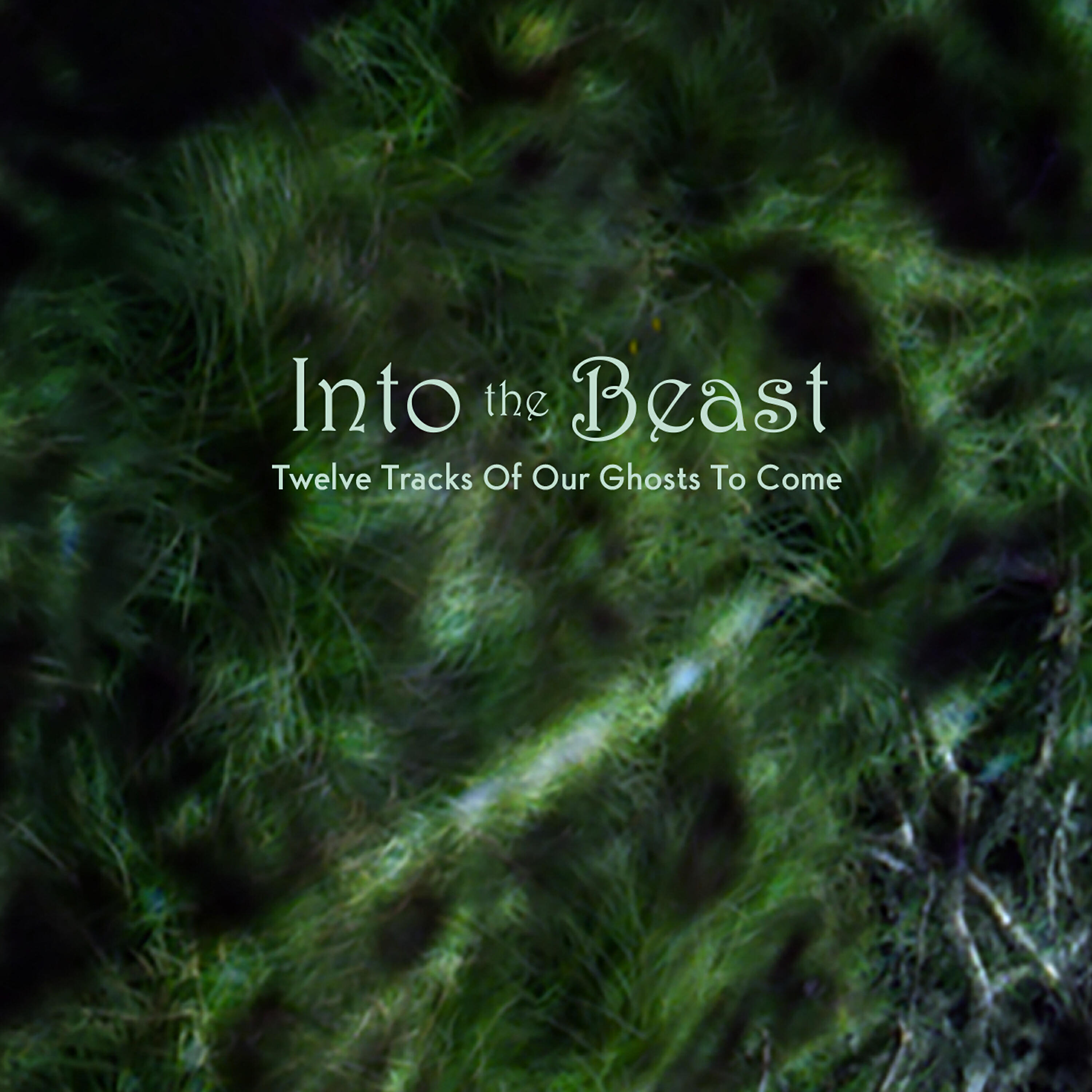Into The Beast - Little Green Star