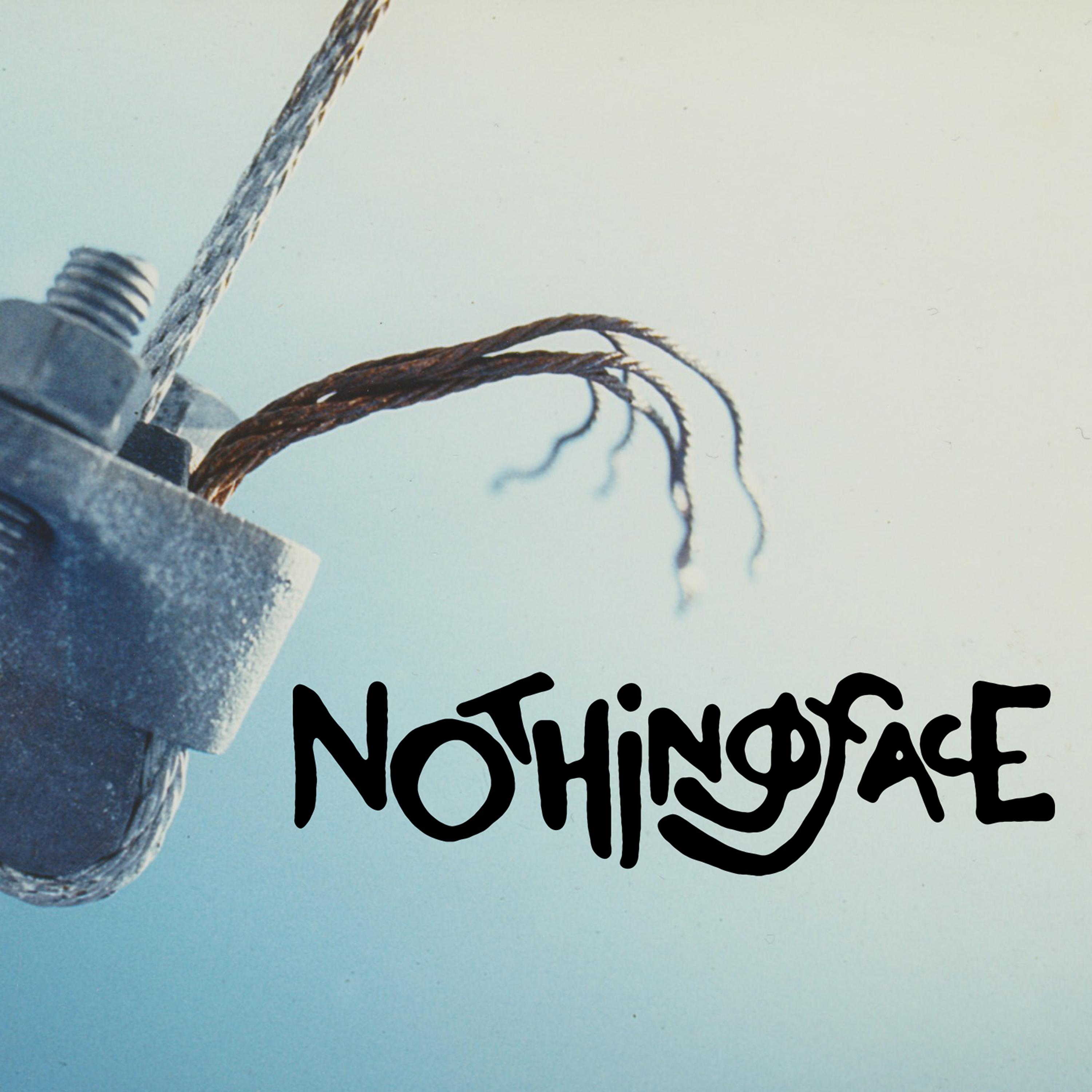 Постер альбома Nothingface