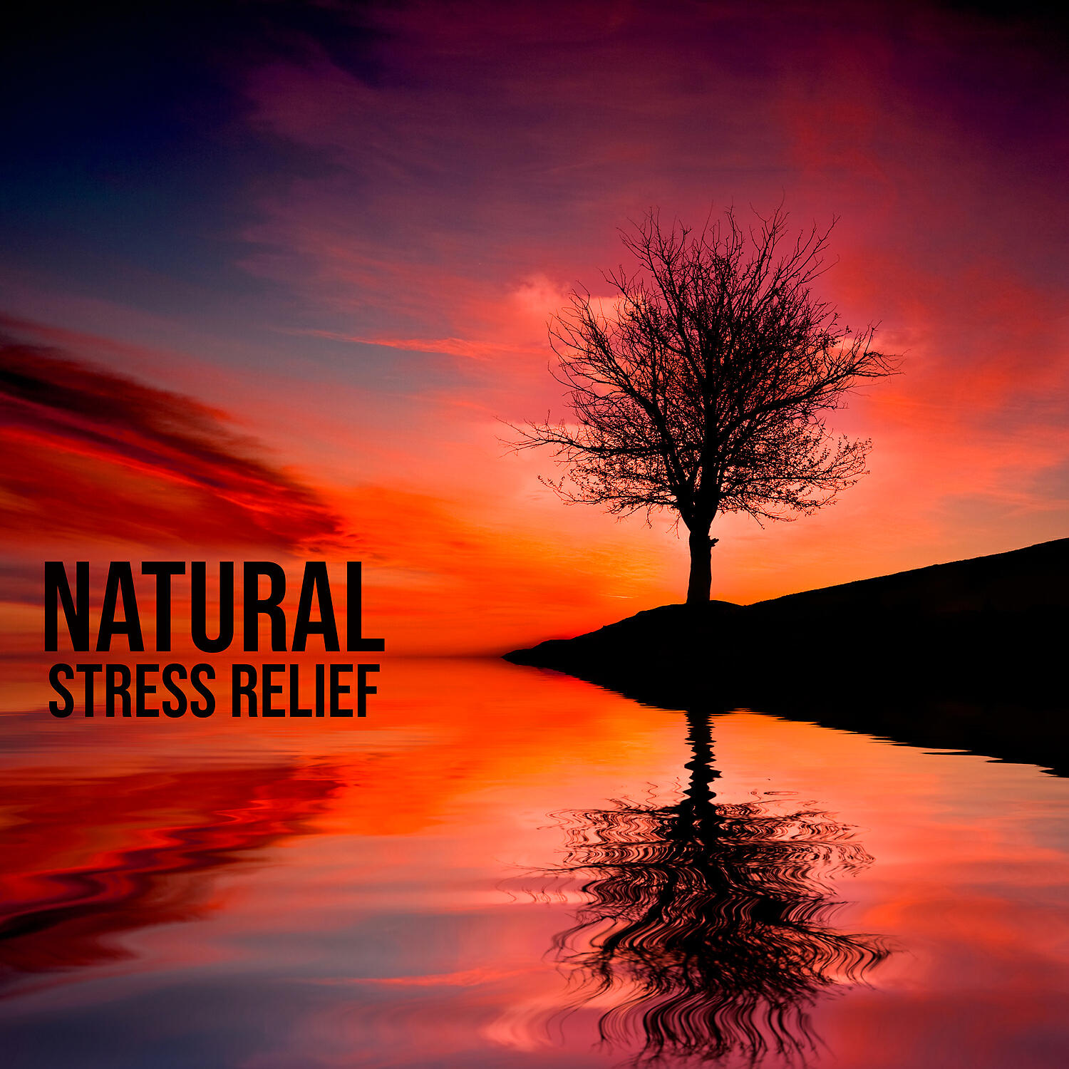 Calm Music Masters Relaxation - Shiatsu Massage