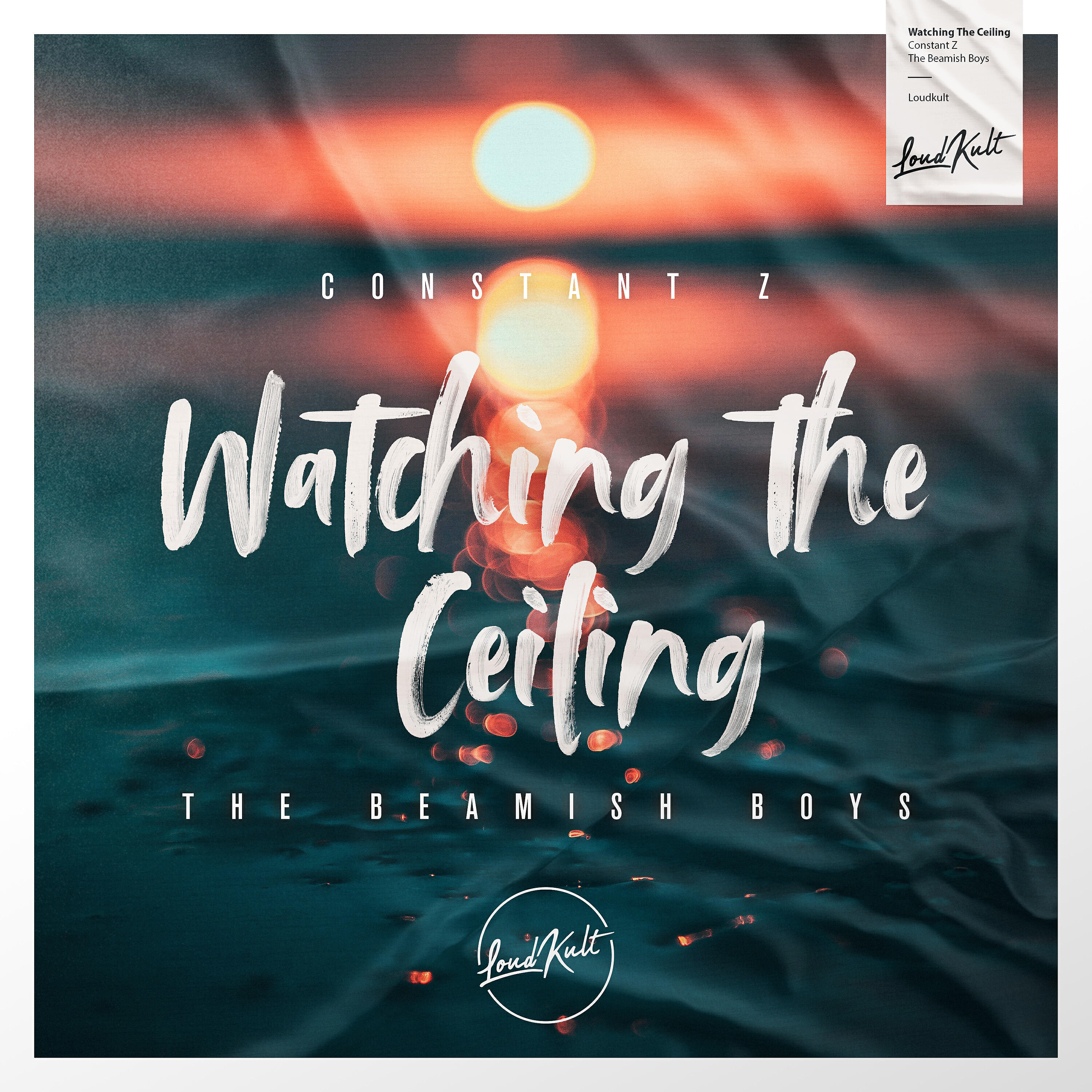Constant Z - Watching The Ceiling (feat. The Beamish Boys)