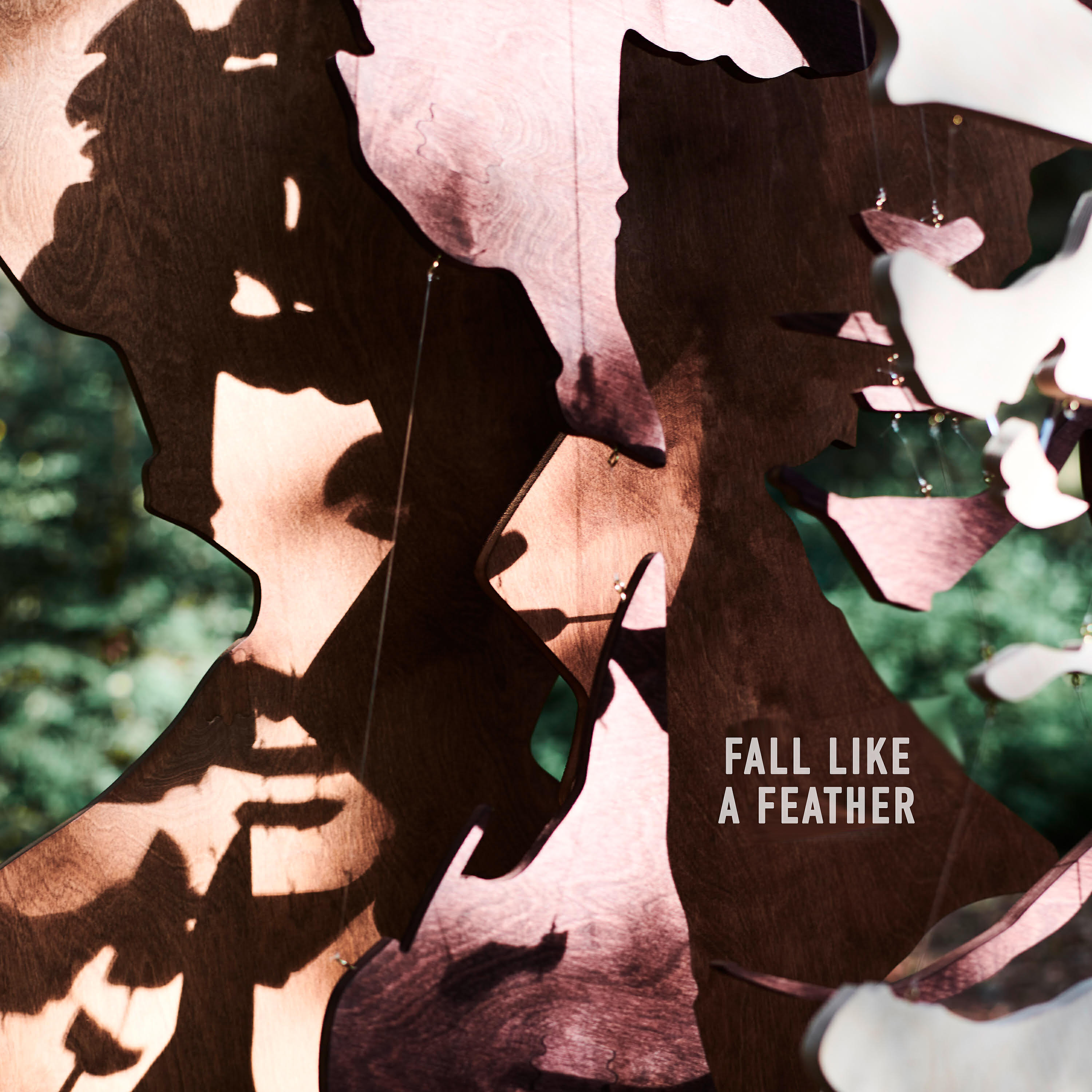 Dan Owen - Fall Like a Feather