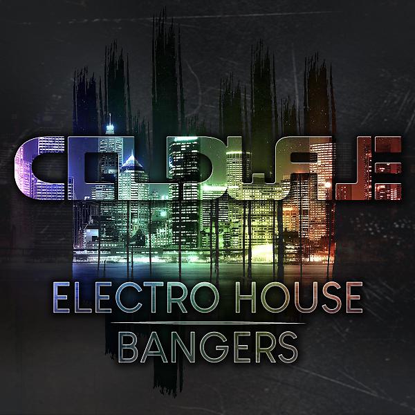 Постер альбома Electro House Bangers