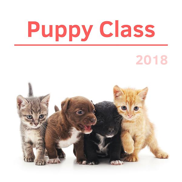 Постер альбома Puppy Class 2018 - Relaxing Music for Dogs with Nature Sounds