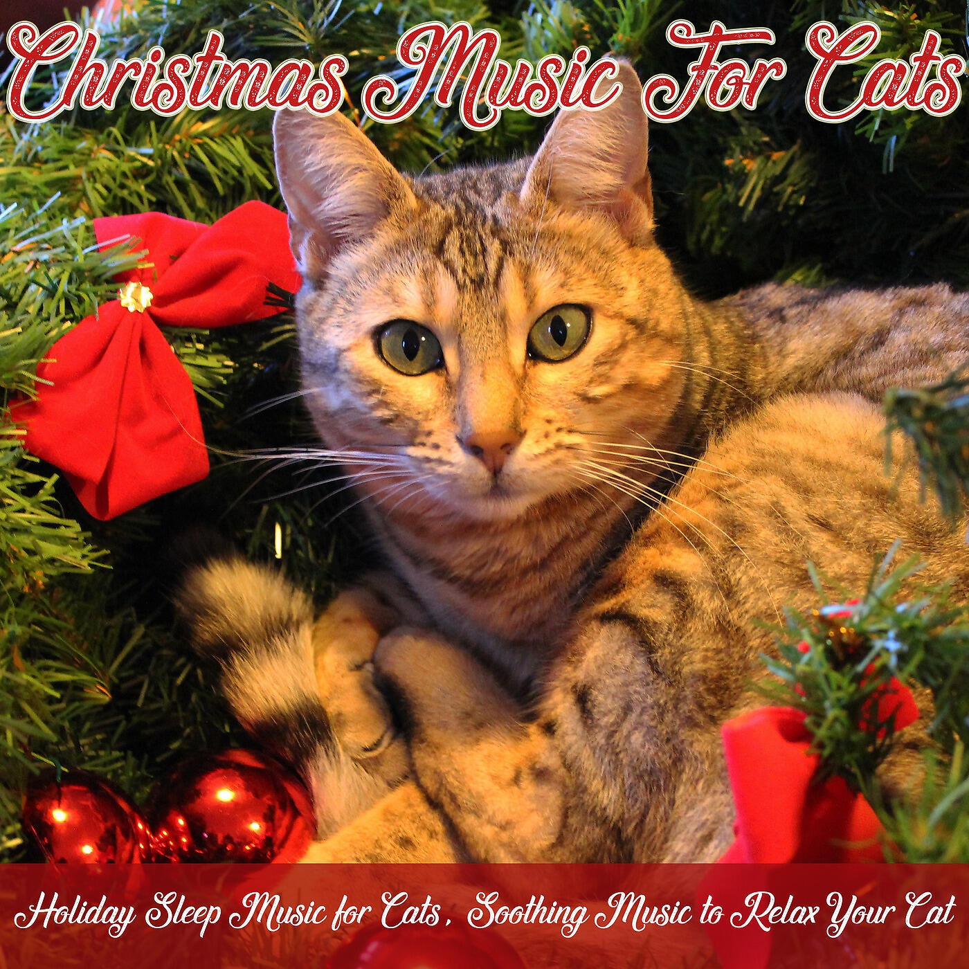 RelaxMyCat - White Christmas (Calm Your Cat)