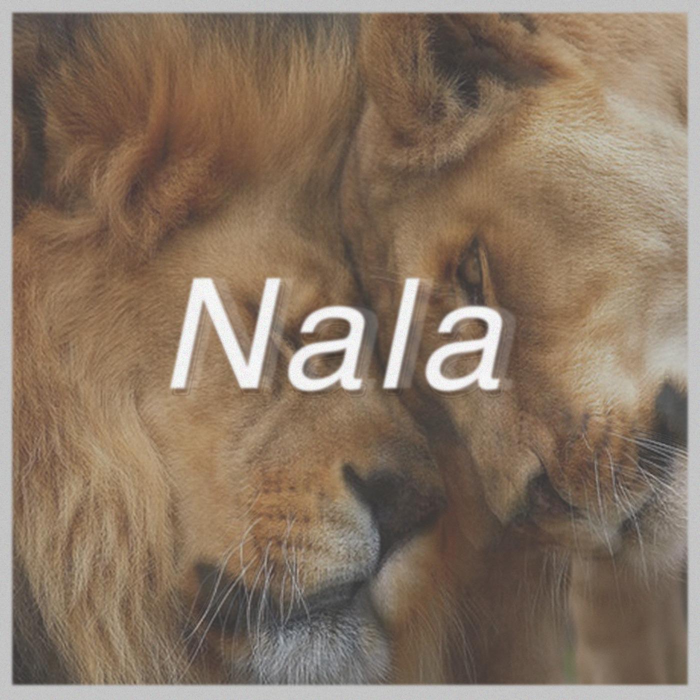 Постер альбома Nala