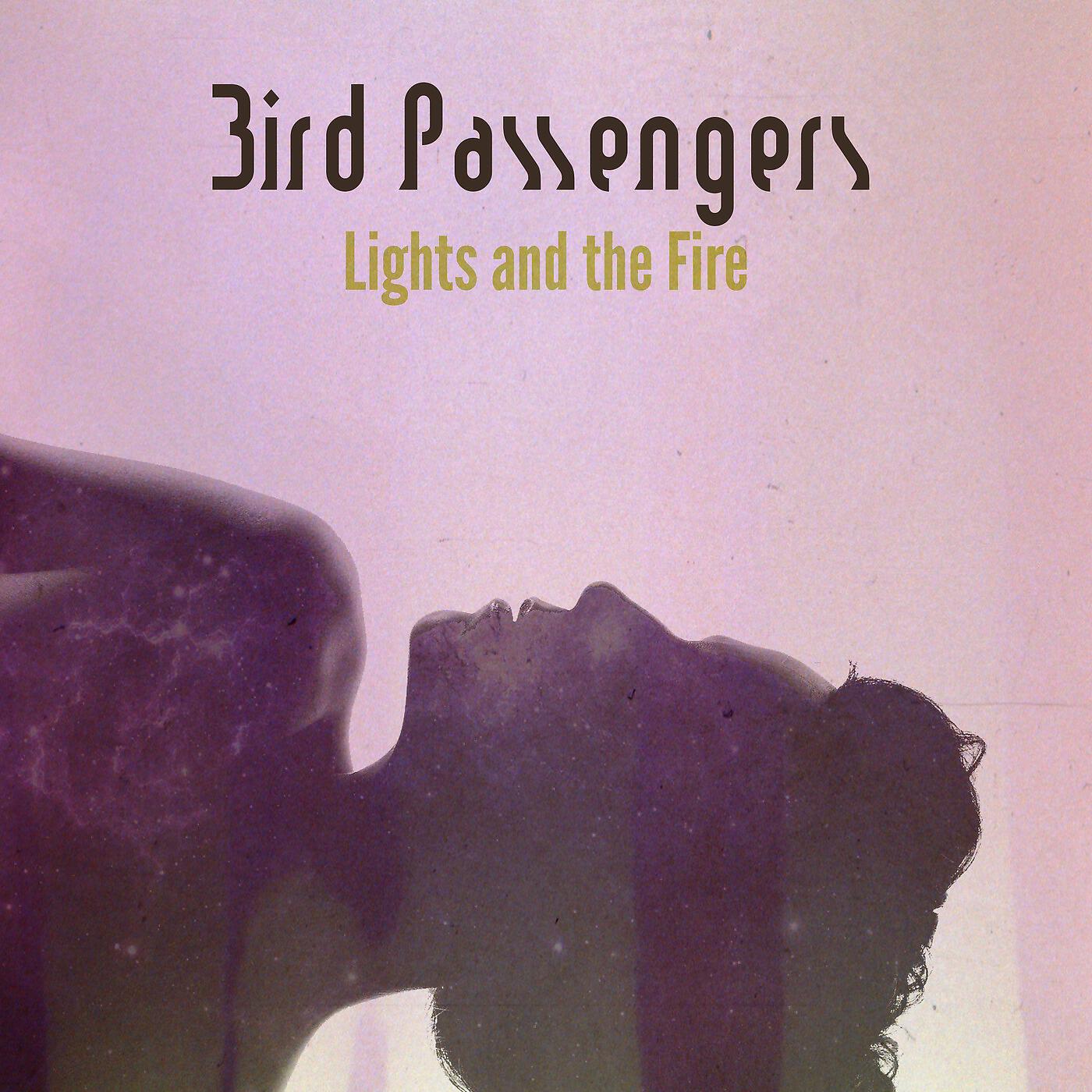 Bird Passengers - You’ll Find You’re Fine