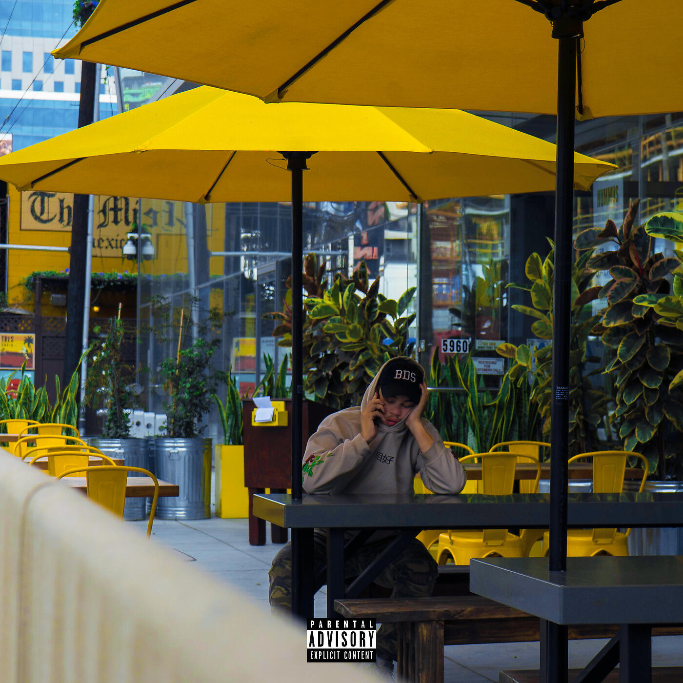 Trent the HOOLiGAN - Backwards