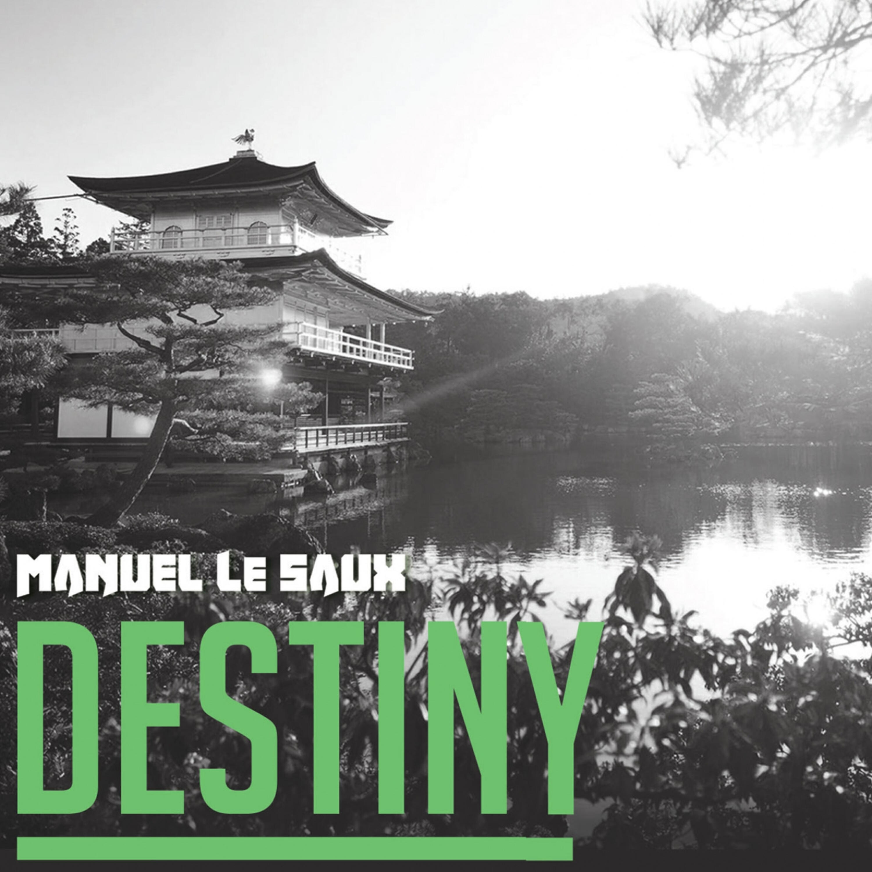 Manuel Le Saux - Destiny (Continuous DJ Mix)