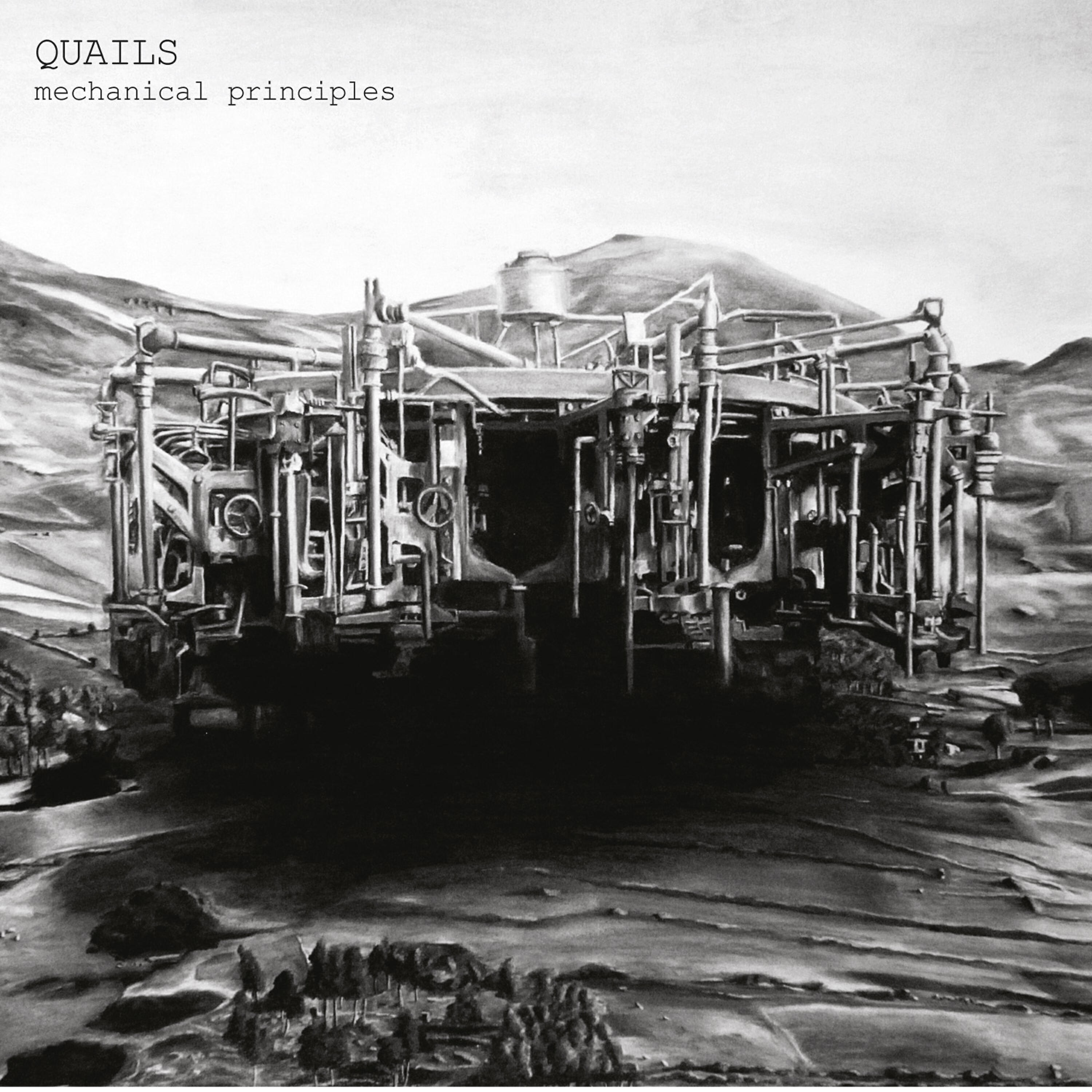 Quails - Cauldron