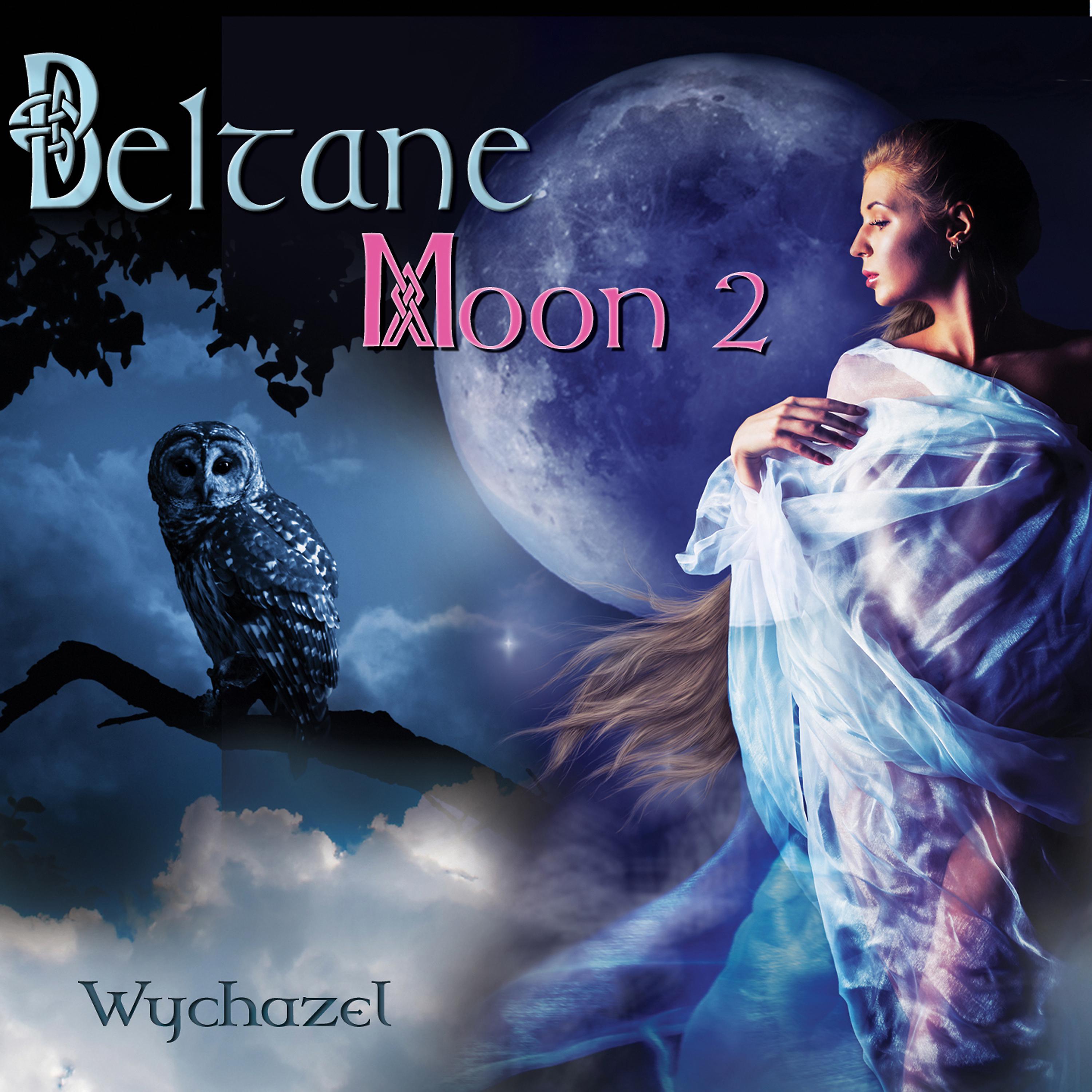 Постер альбома Beltane Moon 2
