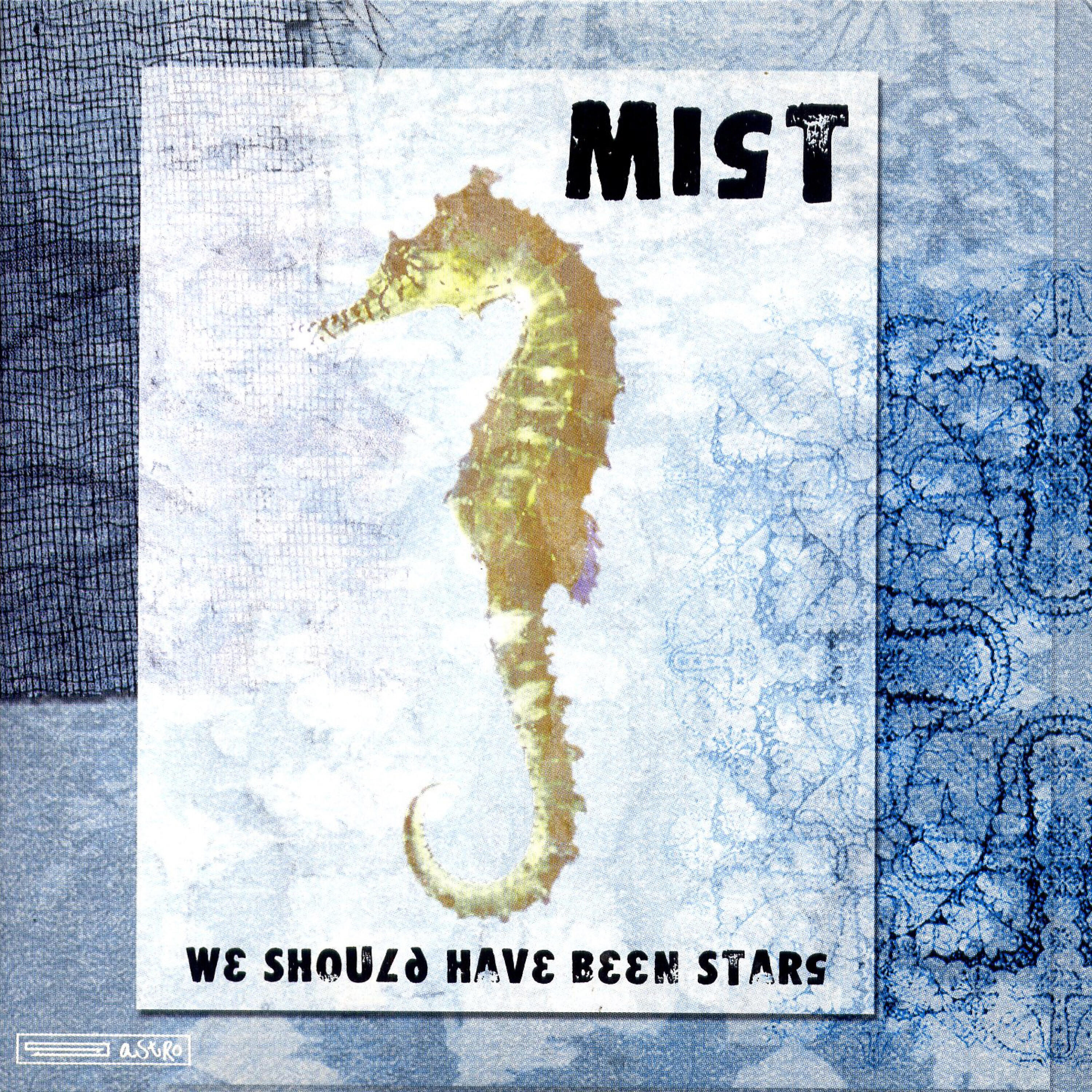 MIST - The Belong Song