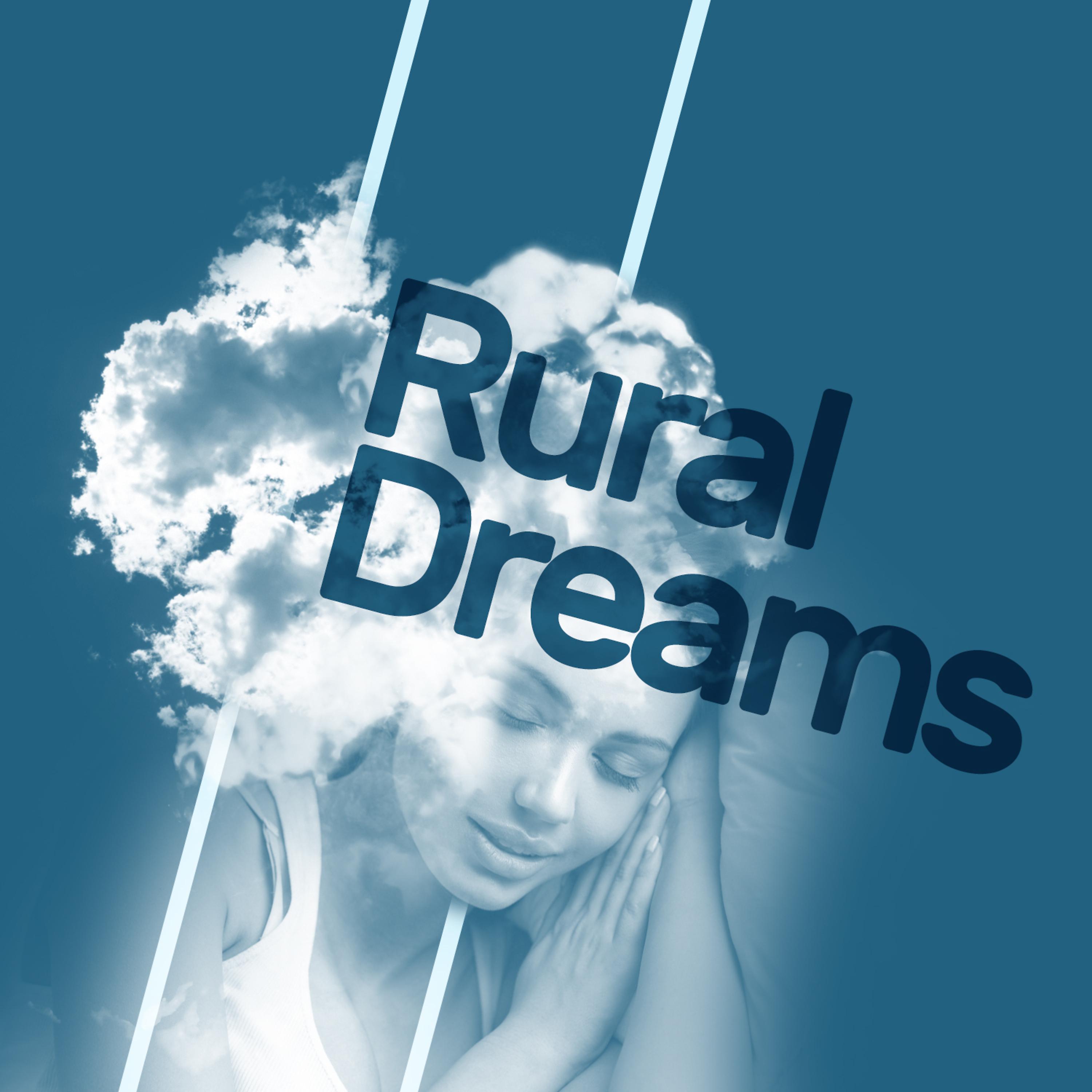 Постер альбома Rural Dreams