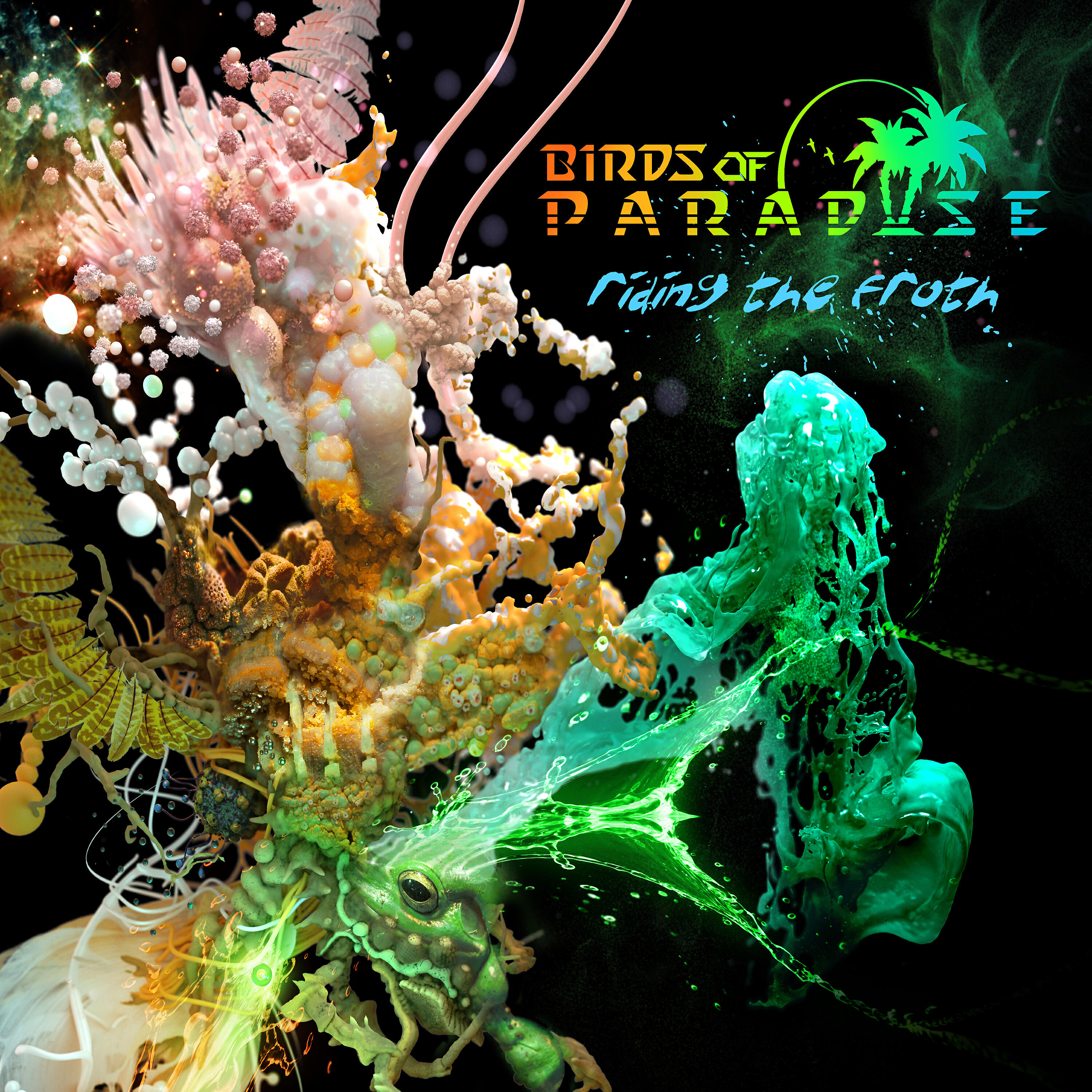 Birds of Paradise - Ultrasound