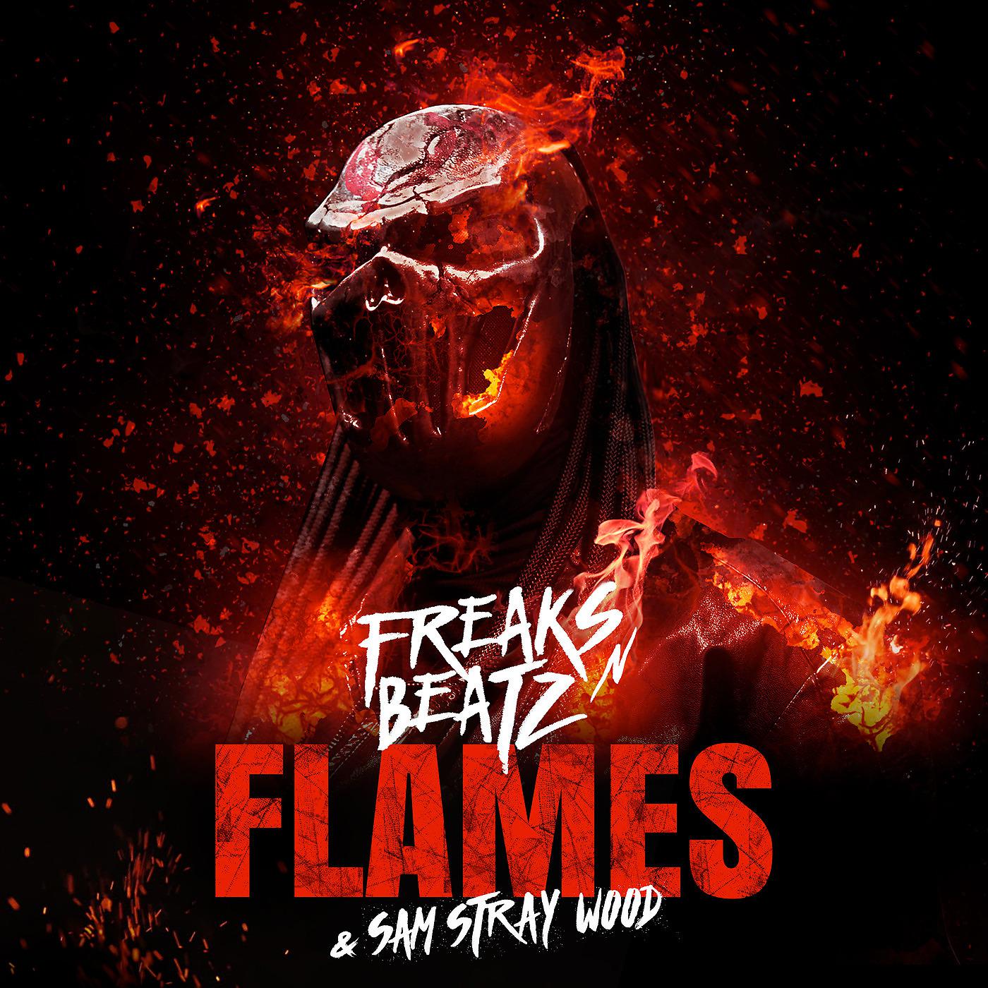 Freaks'n'Beatz - Flames (Freaks Army Remix)