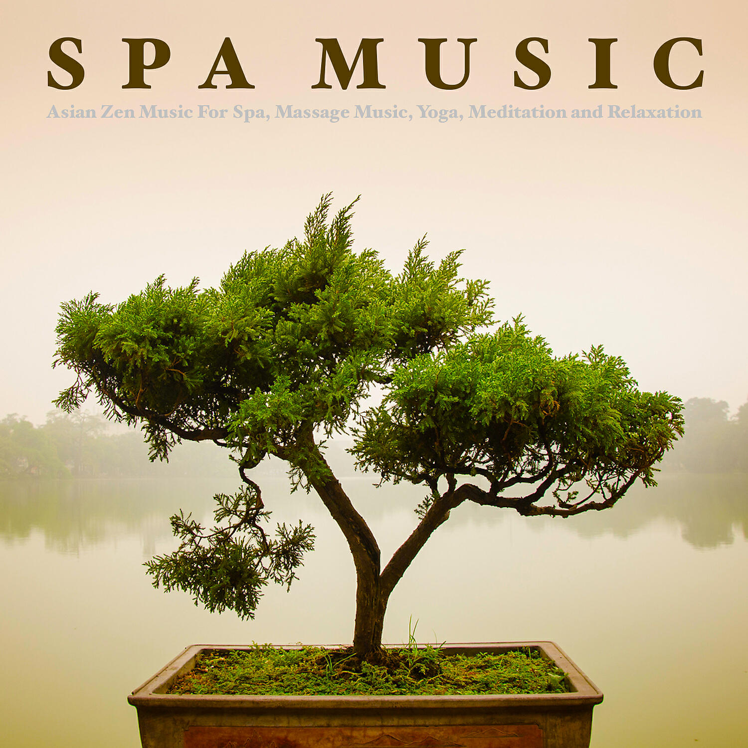 Spa - Music For Massage
