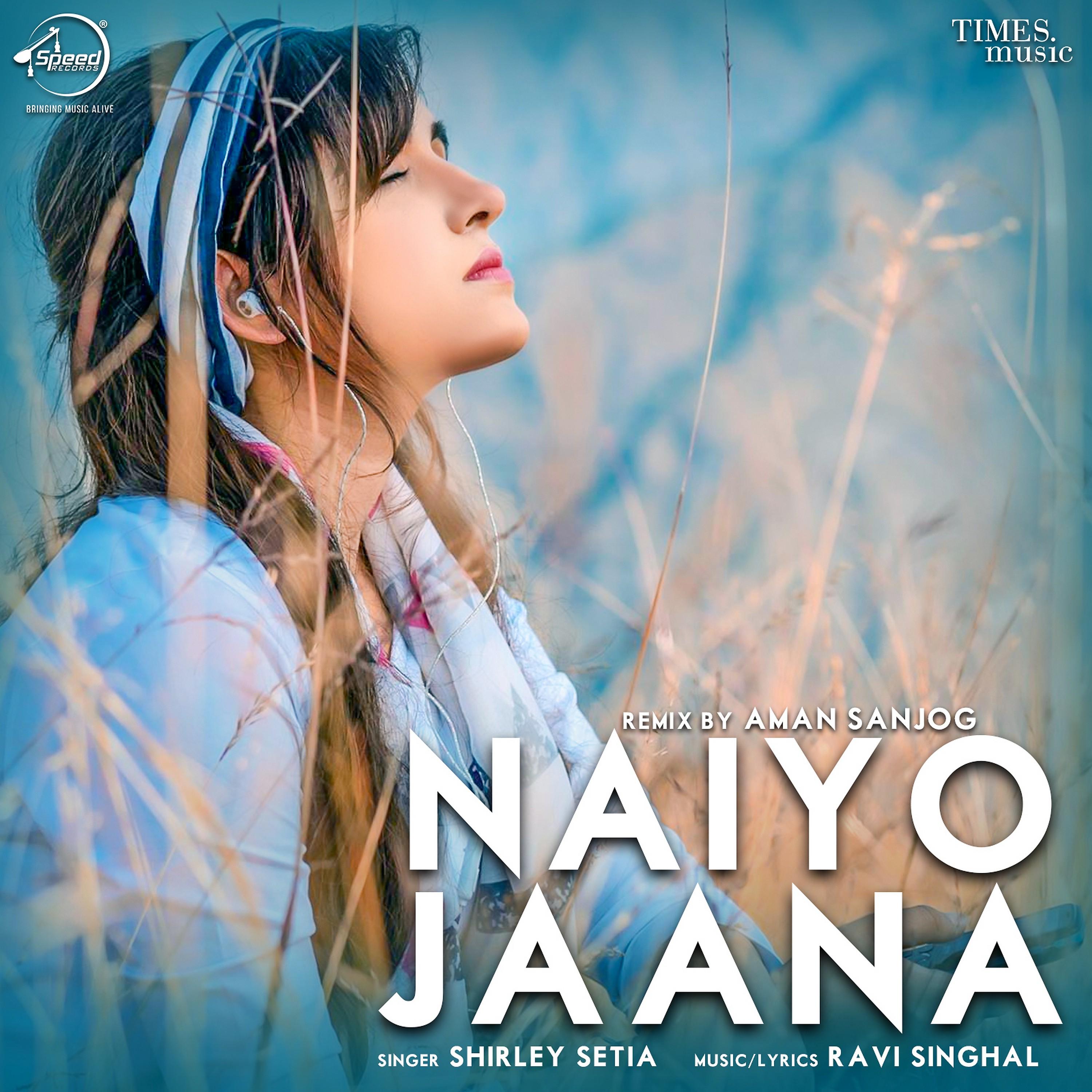Постер альбома Naiyo Jaana (Remix) - Single