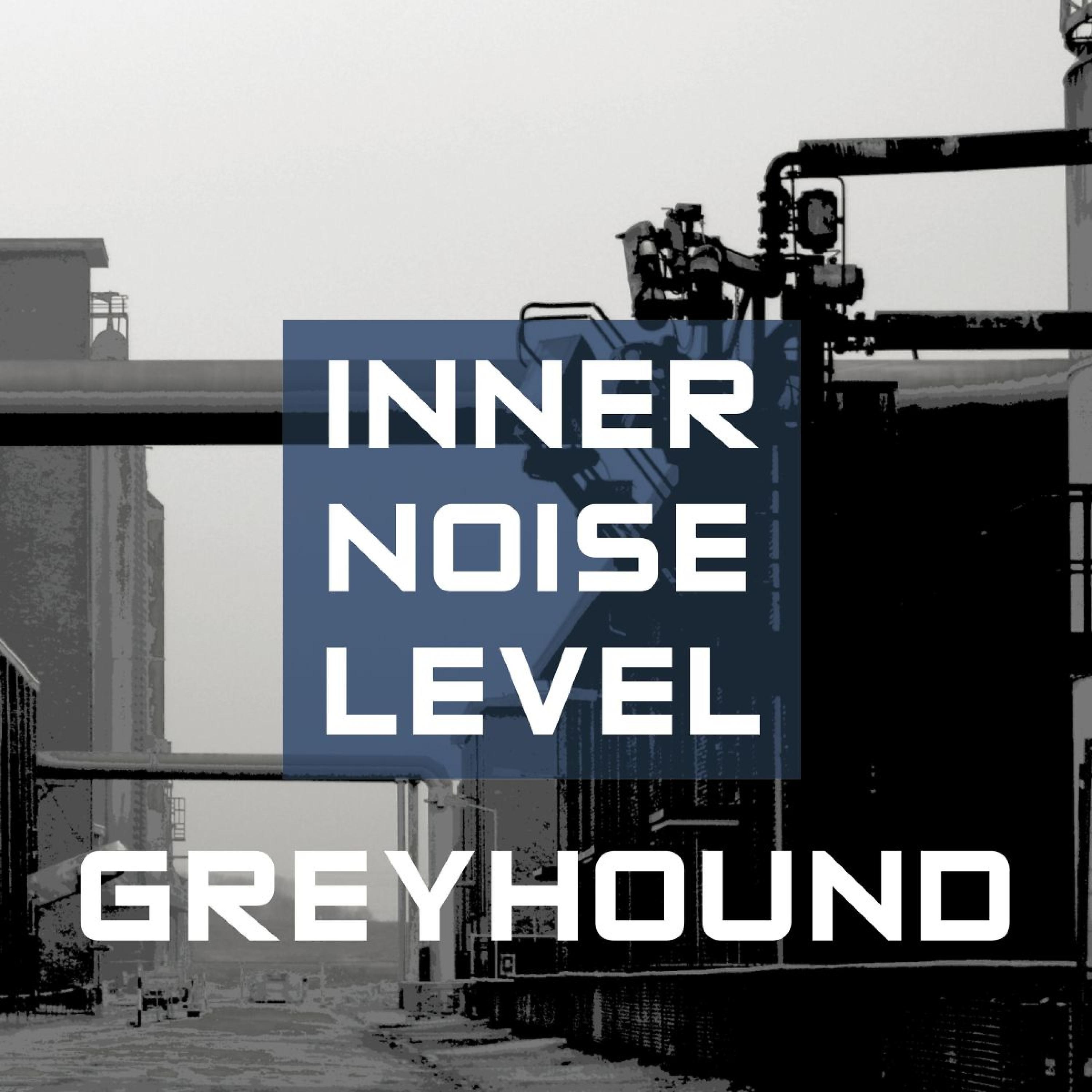 Постер альбома Inner Noise Level
