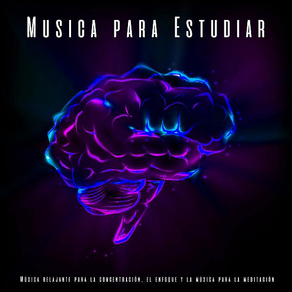Постер альбома Musica para Estudiar: Música relajante para la concentración, el enfoque y la música para la meditación
