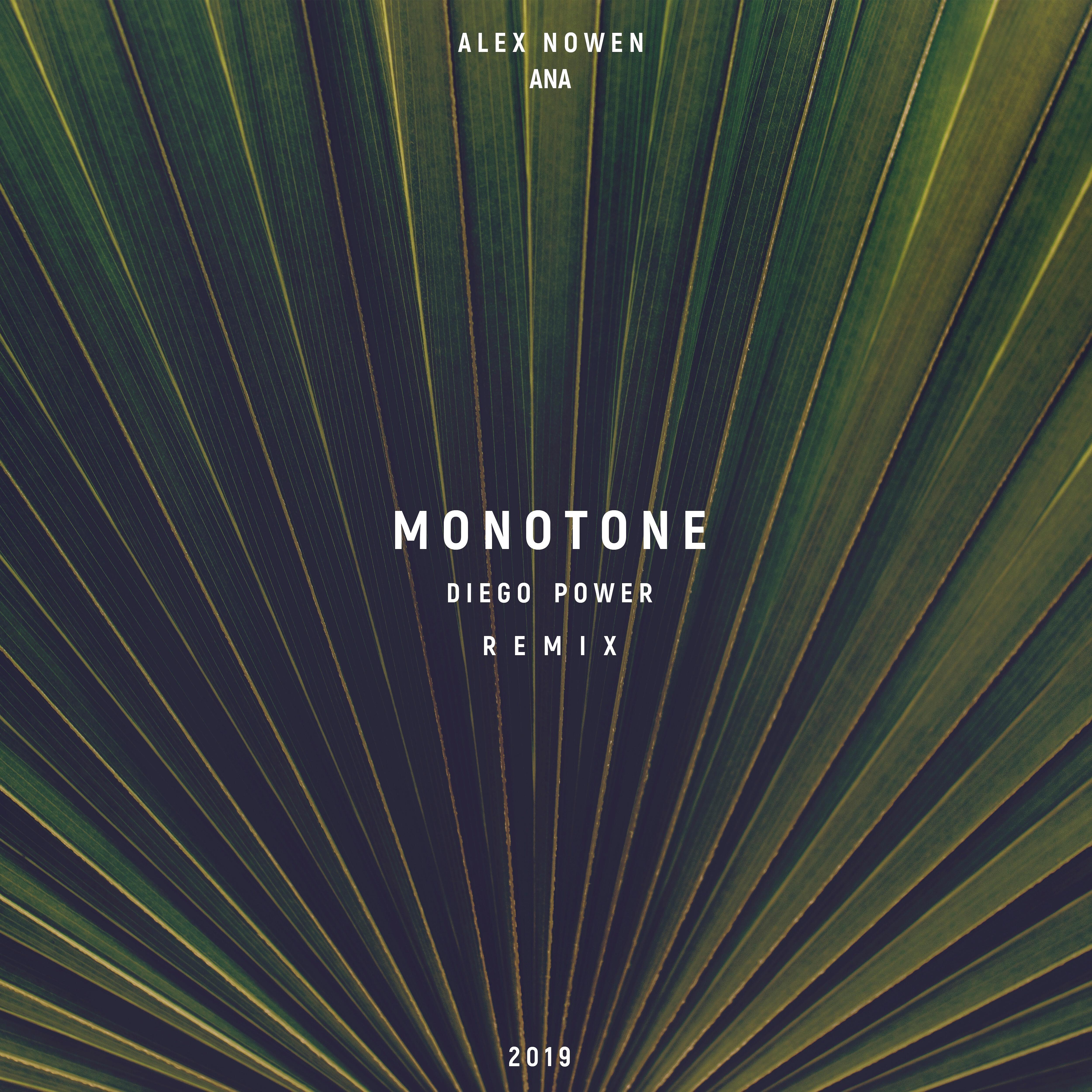 Alex Nowen - Monotone (Diego Power Remix)
