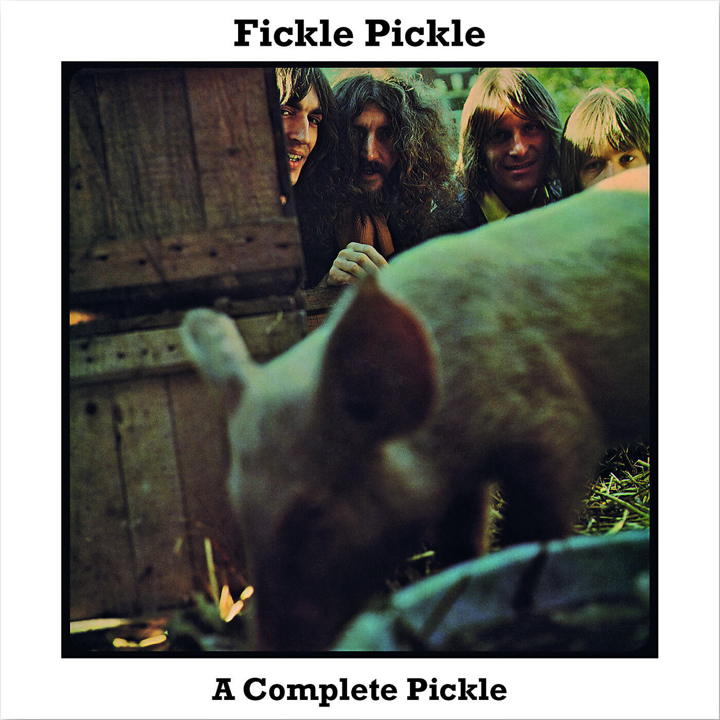Fickle Pickle - Sandy
