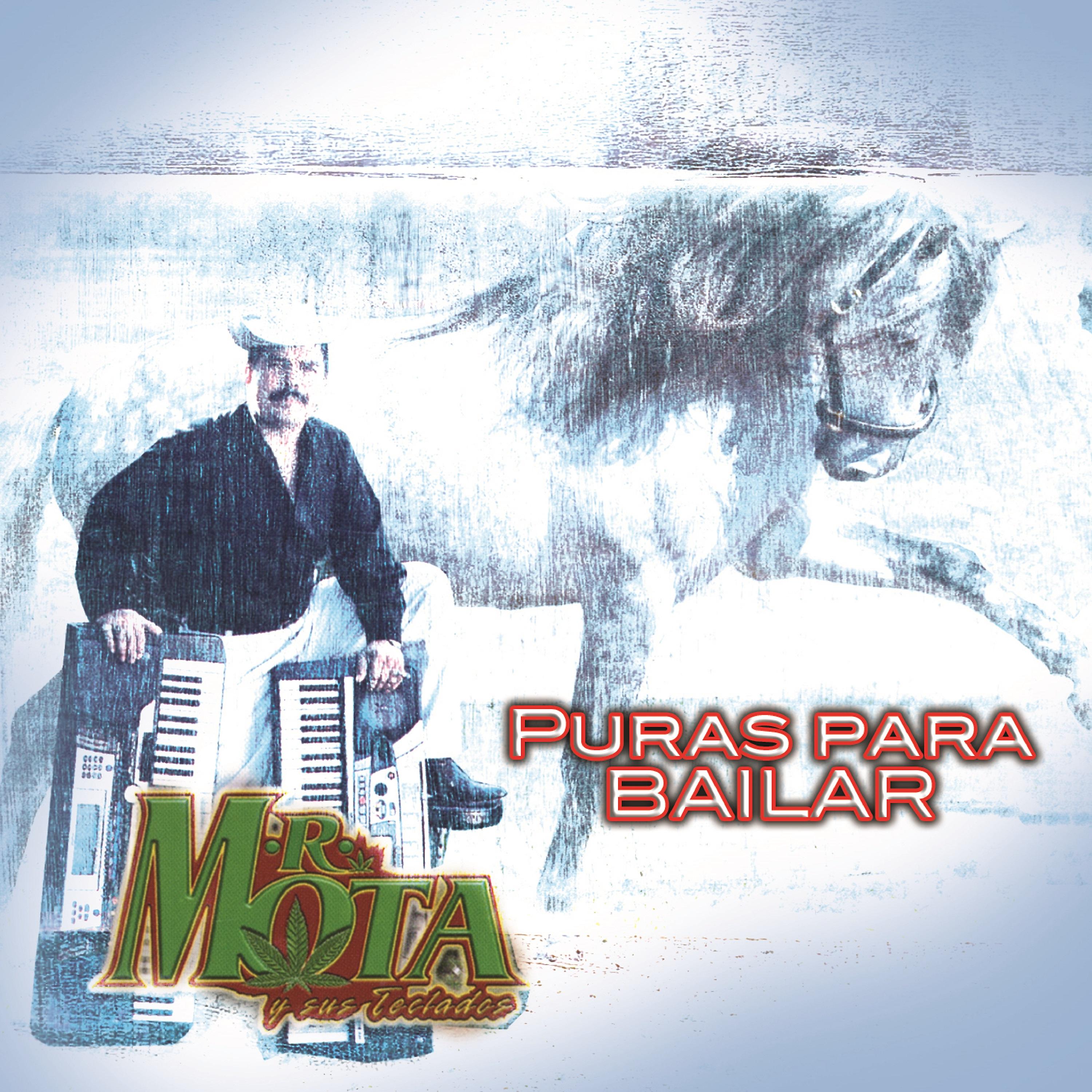 Постер альбома Puras para Bailar