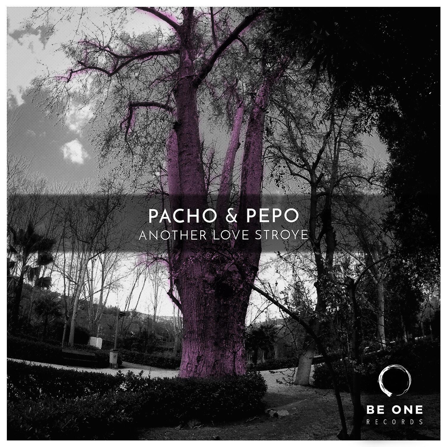 Pacho - Another Love Storye