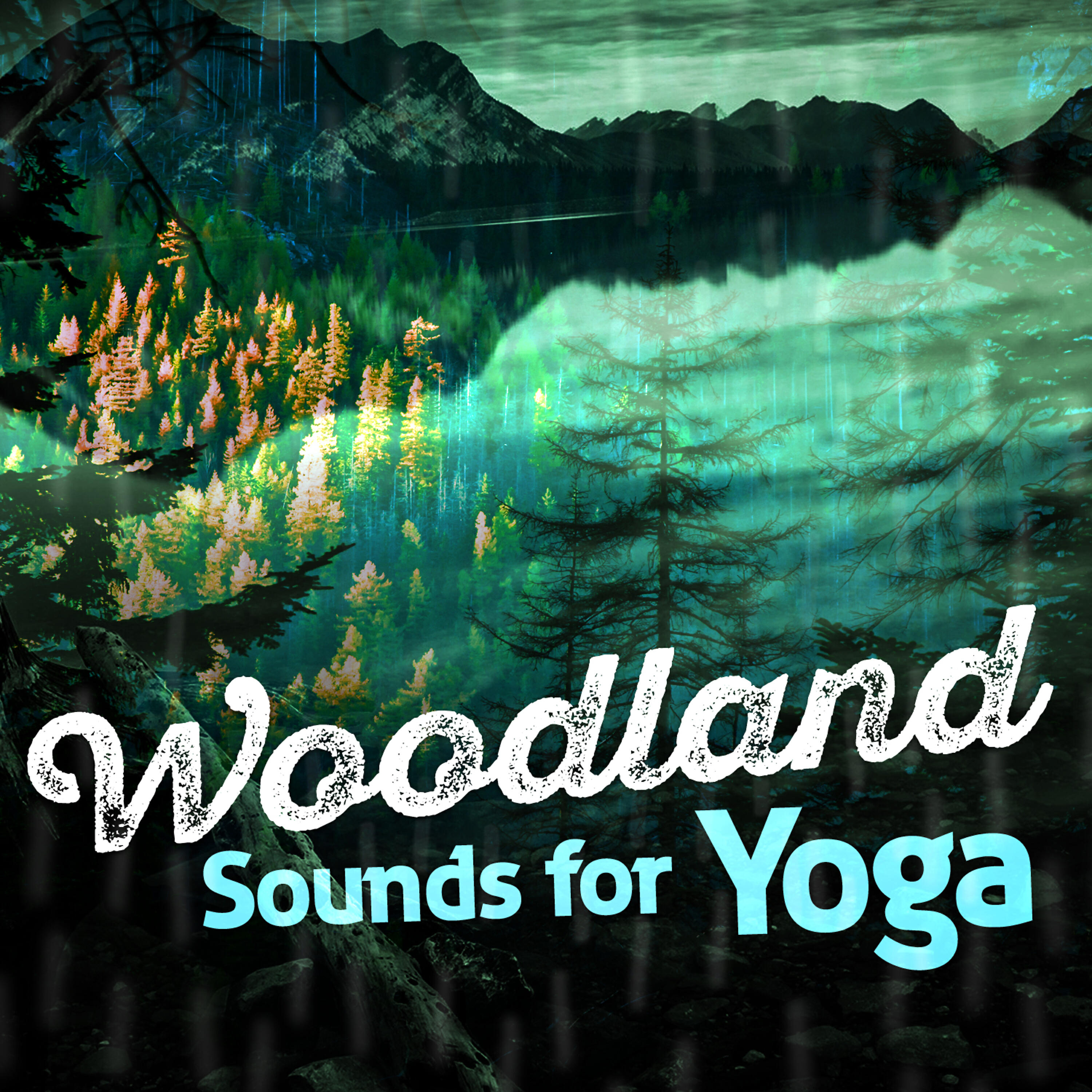 Nature Sounds Sleep - Streamside Life