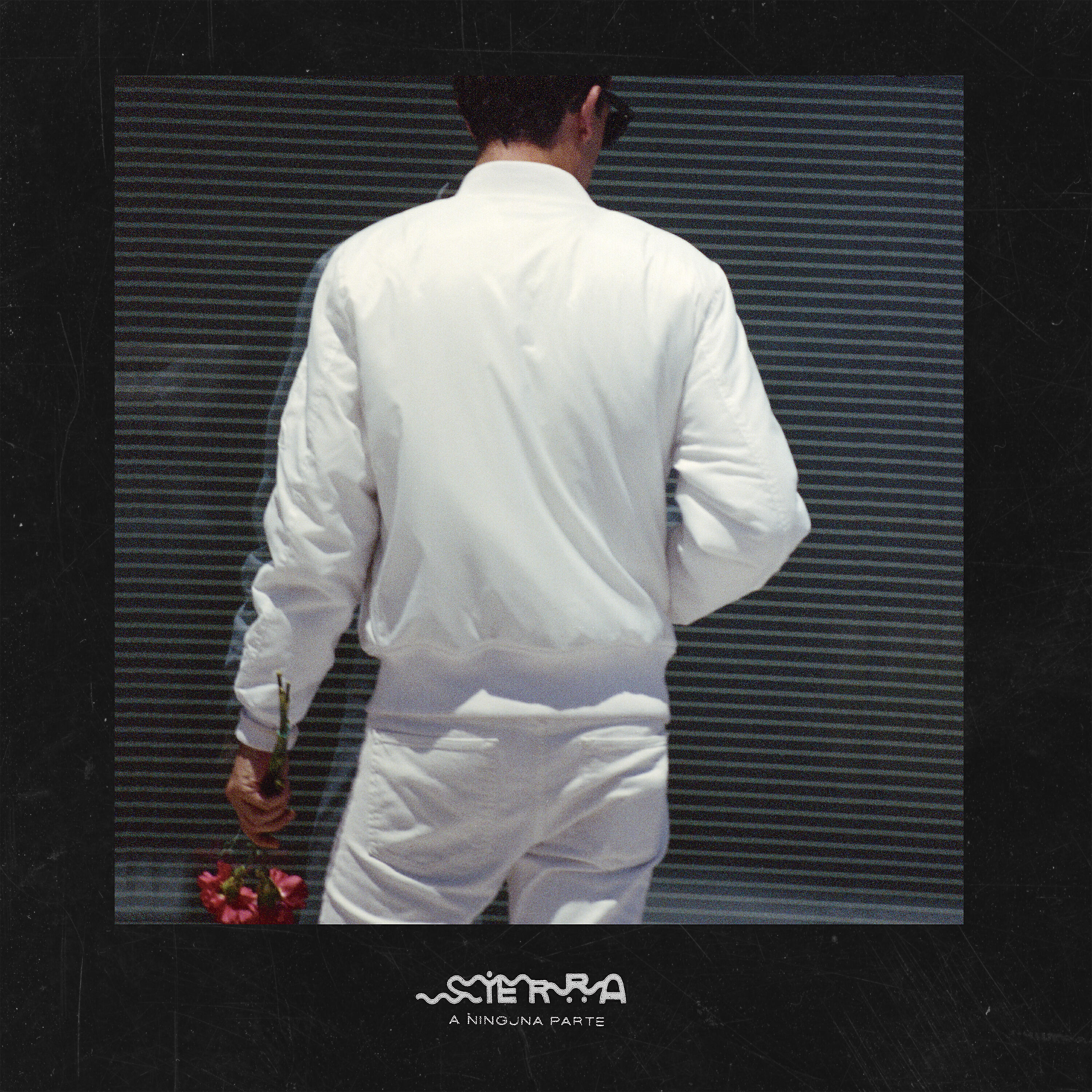 SIERRA - La noche criminal