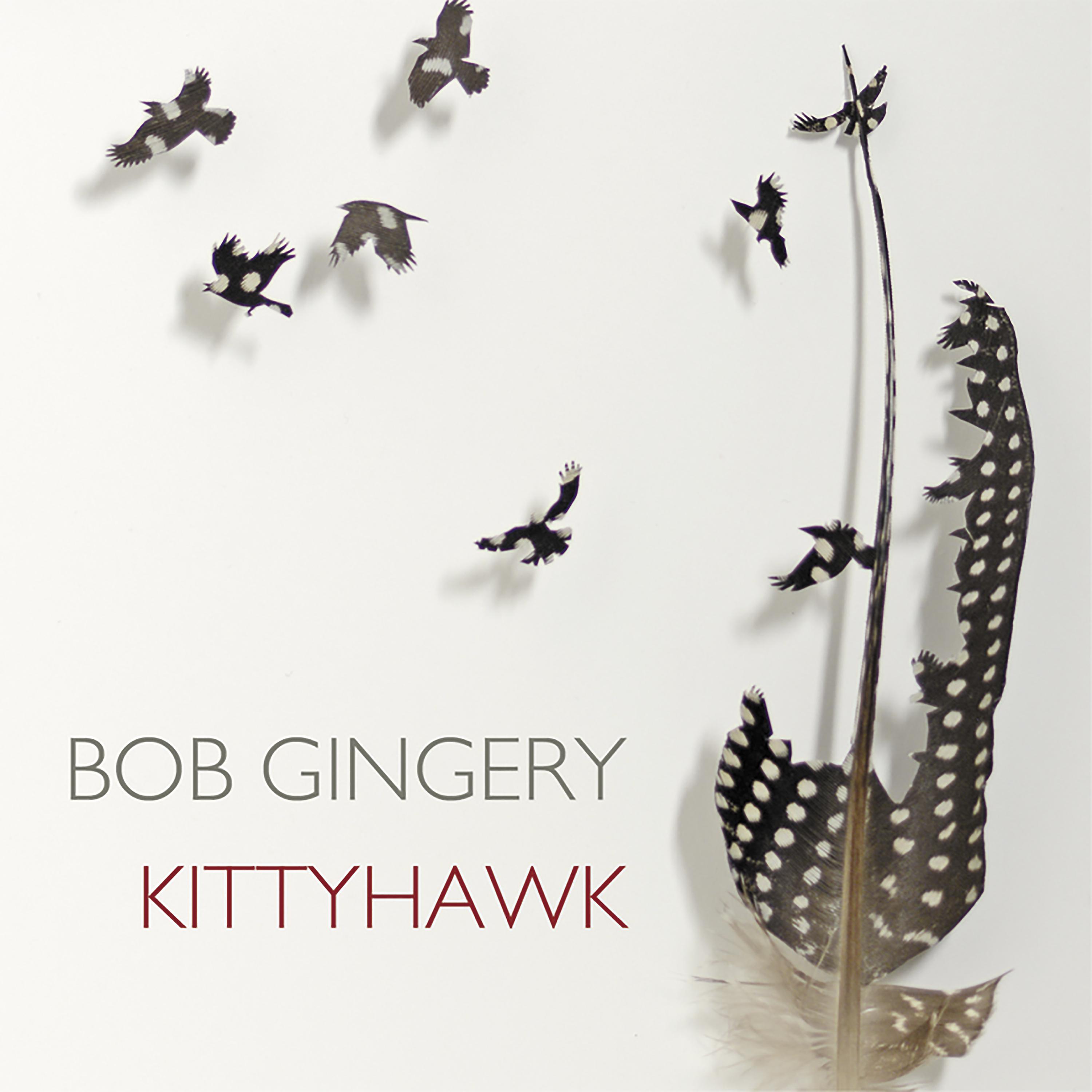 Постер альбома Kittyhawk